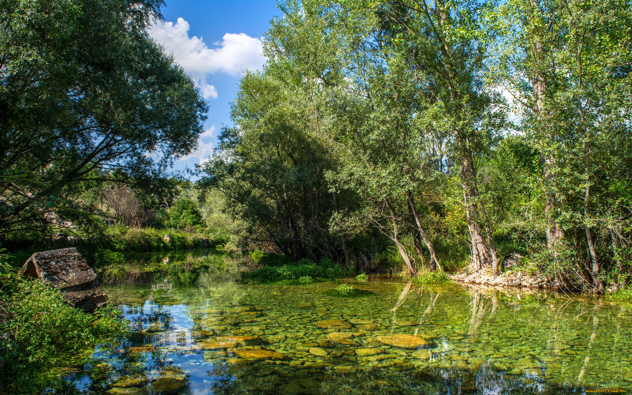 природа, реки, озера, река, лес