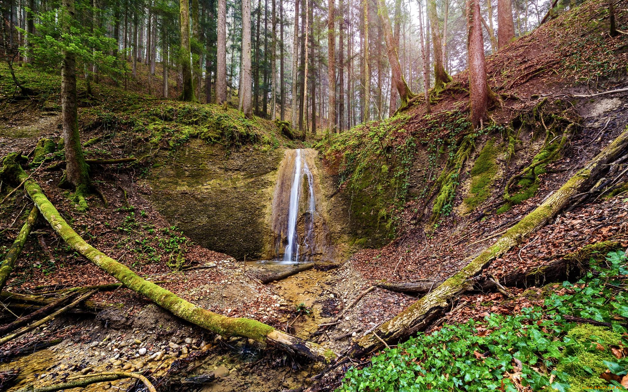 природа, водопады, водопад, деревья, лес