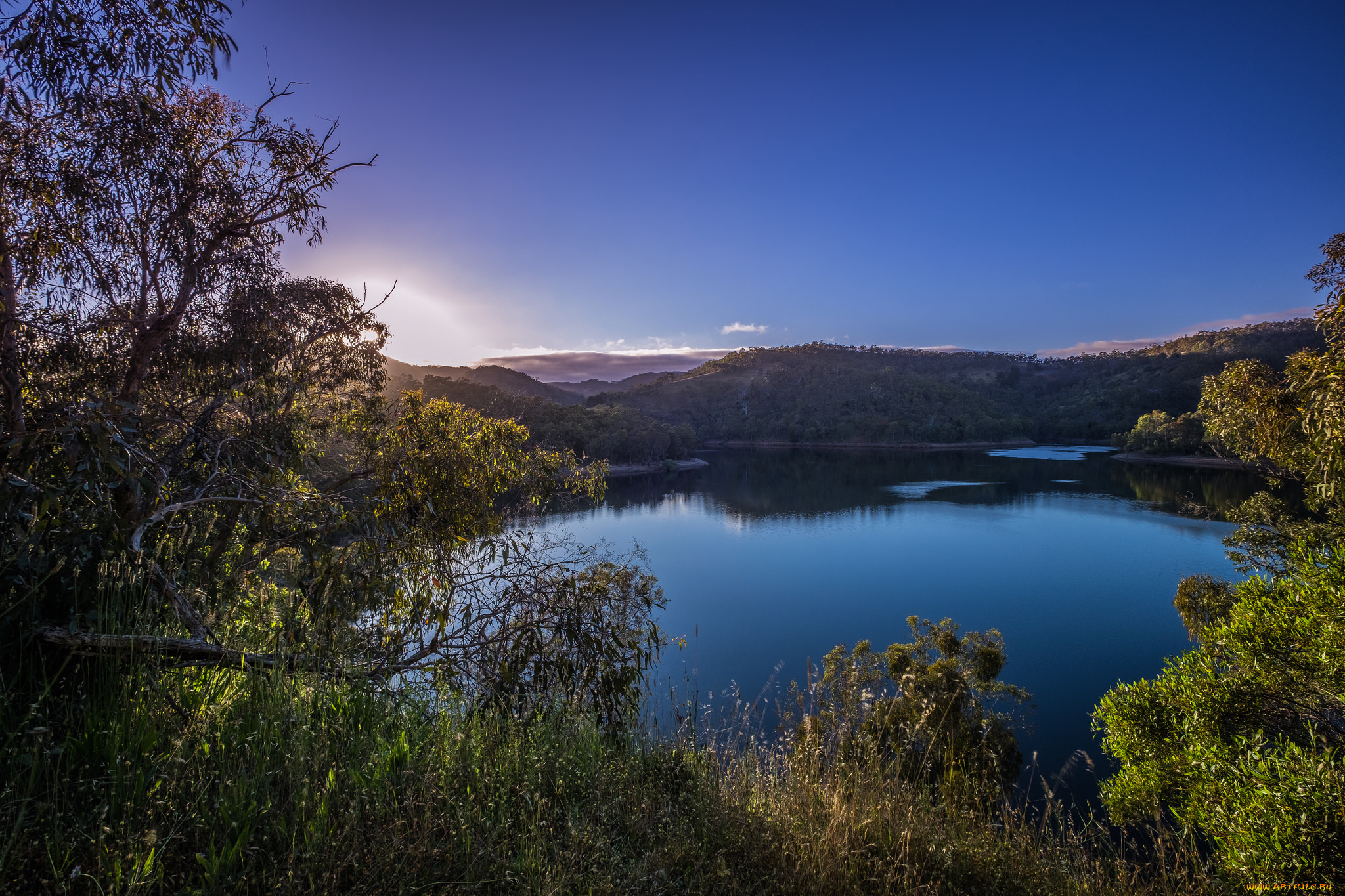 природа, реки, озера, лес, река