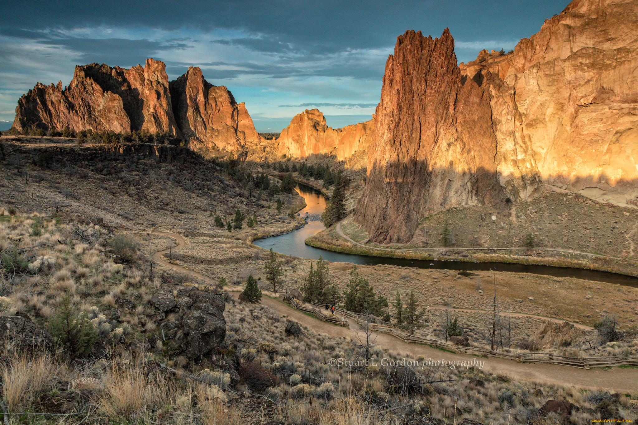 природа, реки, озера, река, лес