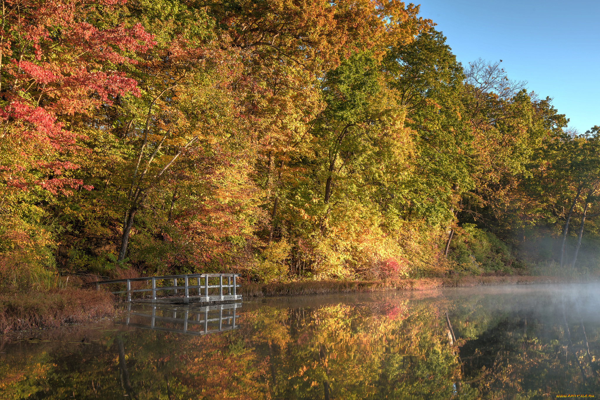 природа, реки, озера, река, лес