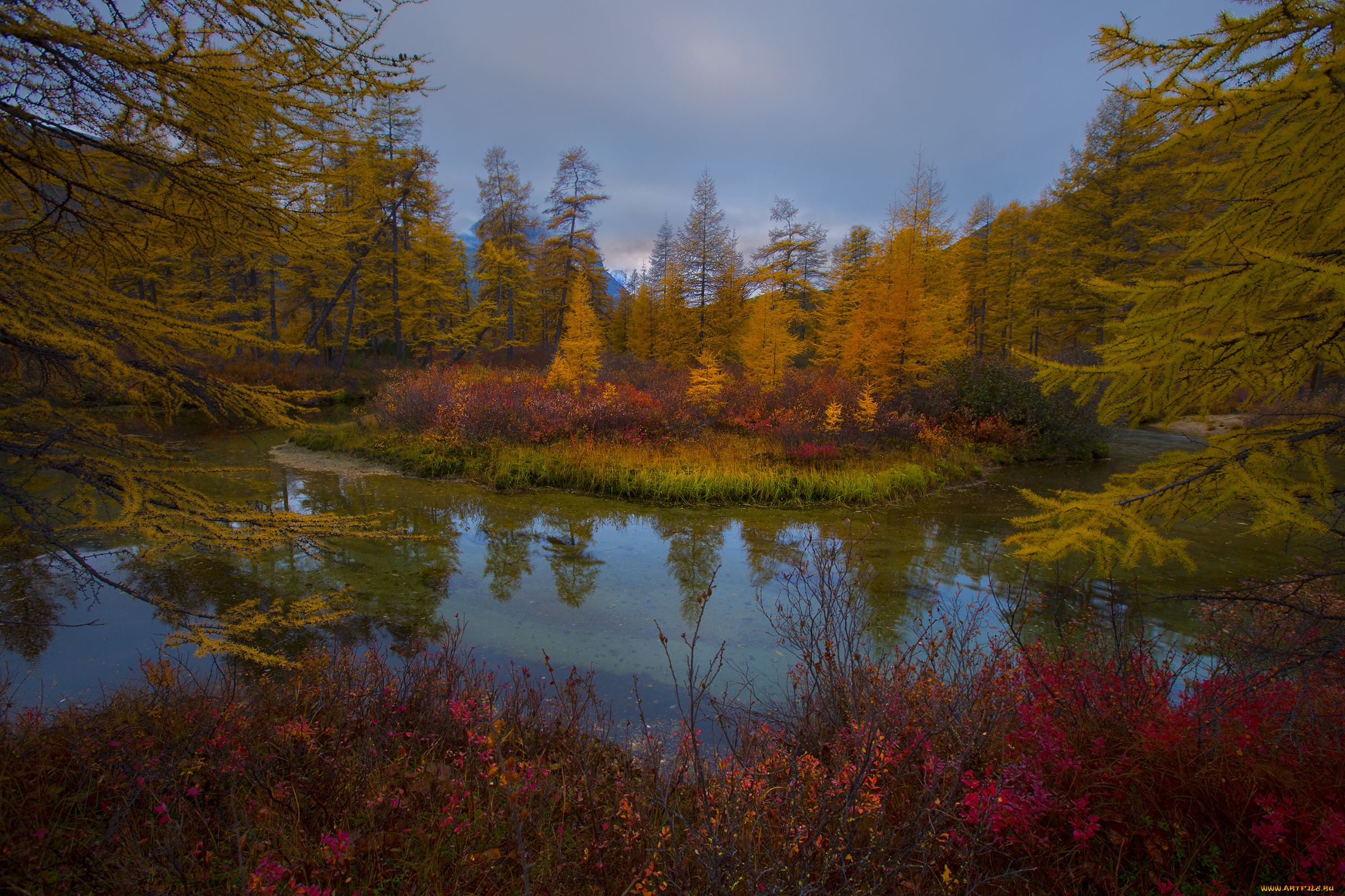 природа, реки, озера, комментарий, без