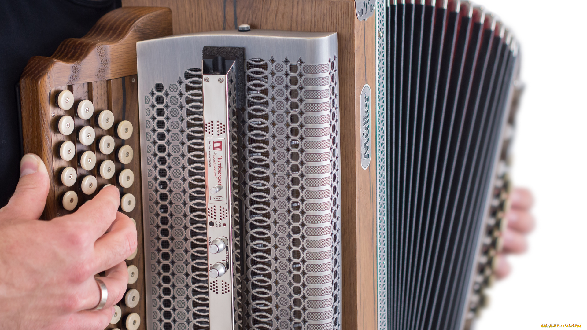 музыка, -другое, руки, аккордеон