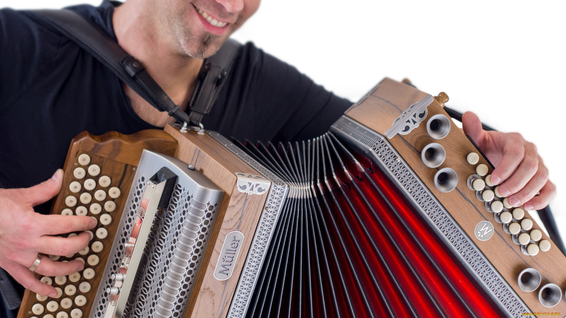 музыка, -другое, руки, баян