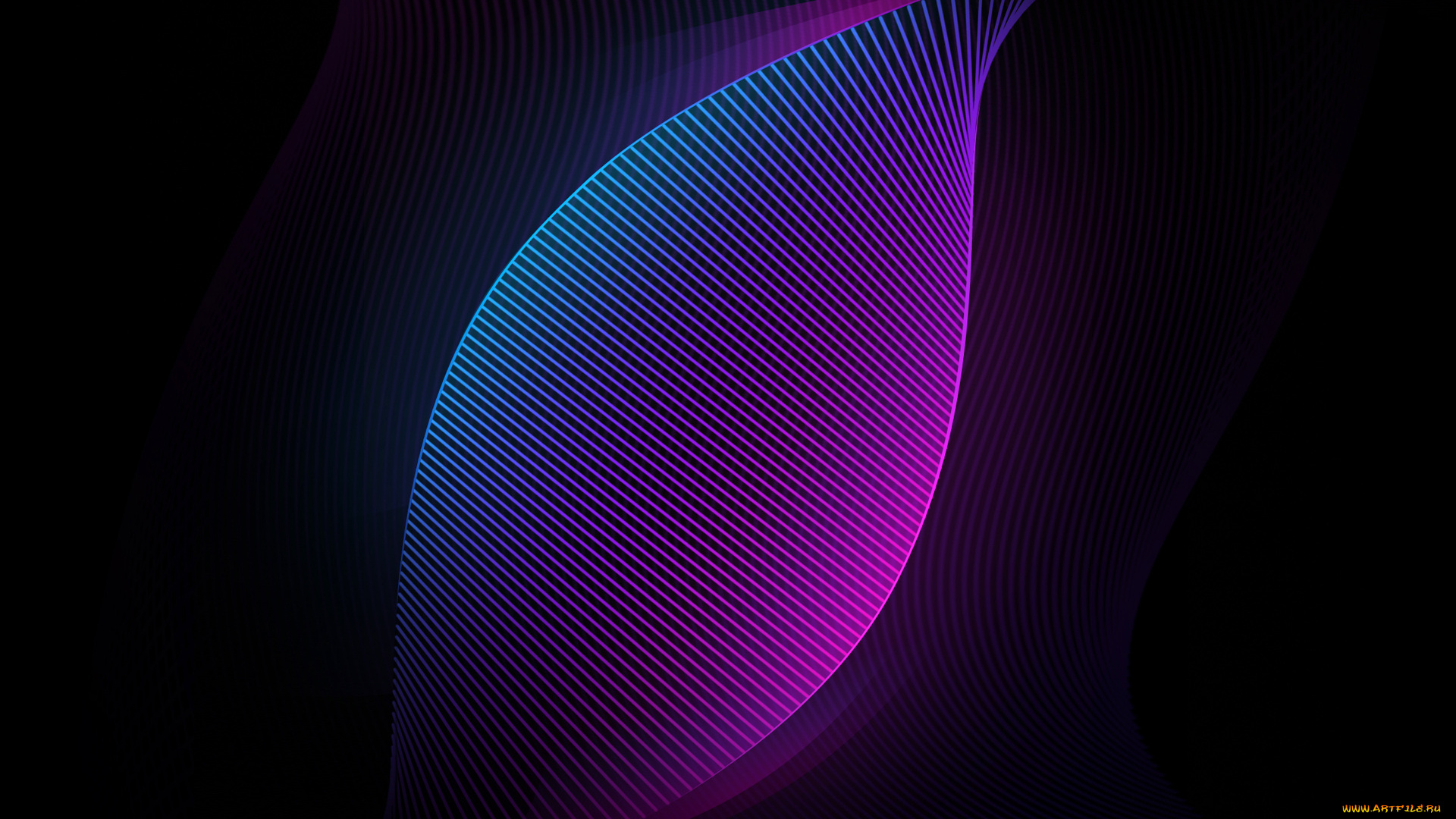 векторная, графика, графика, , graphics, узор, цвета, фон