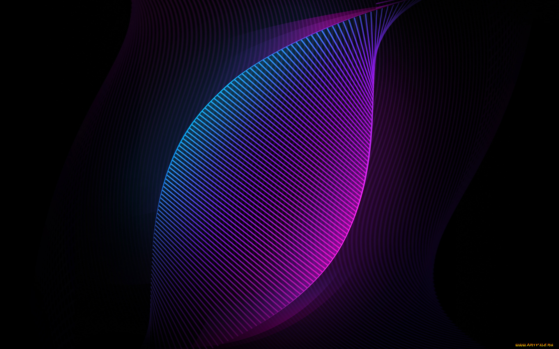 векторная, графика, графика, , graphics, узор, цвета, фон