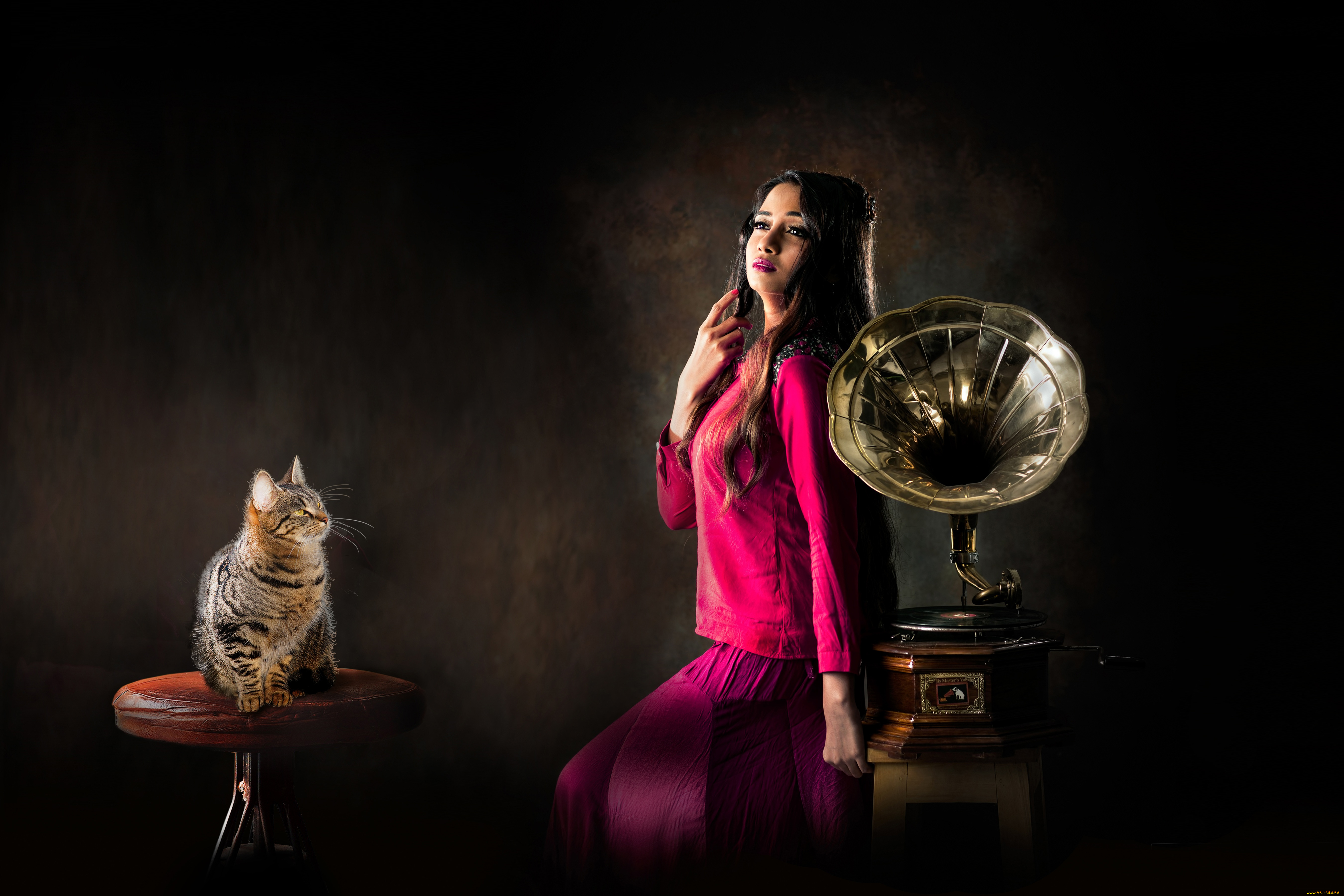 музыка, -другое, граммофон, кошка, взгляд, девушка