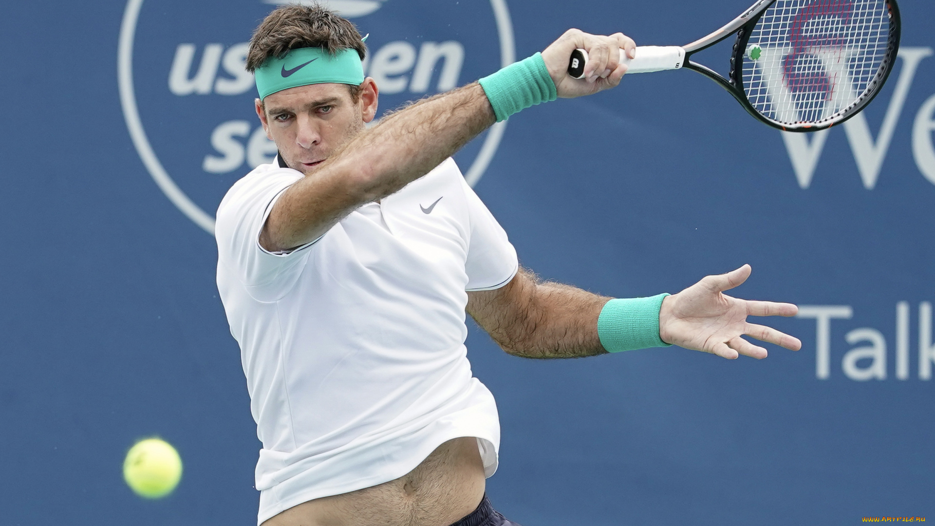 спорт, теннис, juan, martin, del, potro