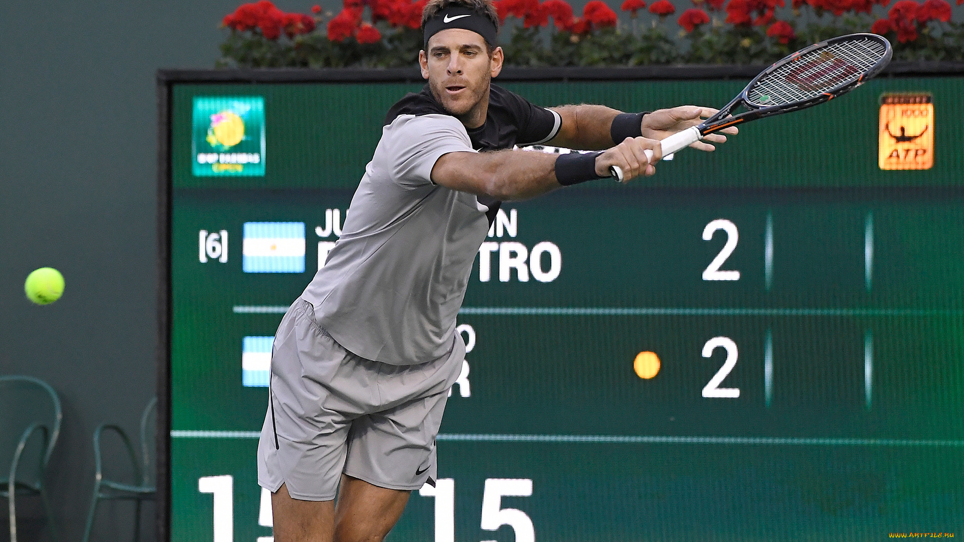 спорт, теннис, juan, martin, del, potro