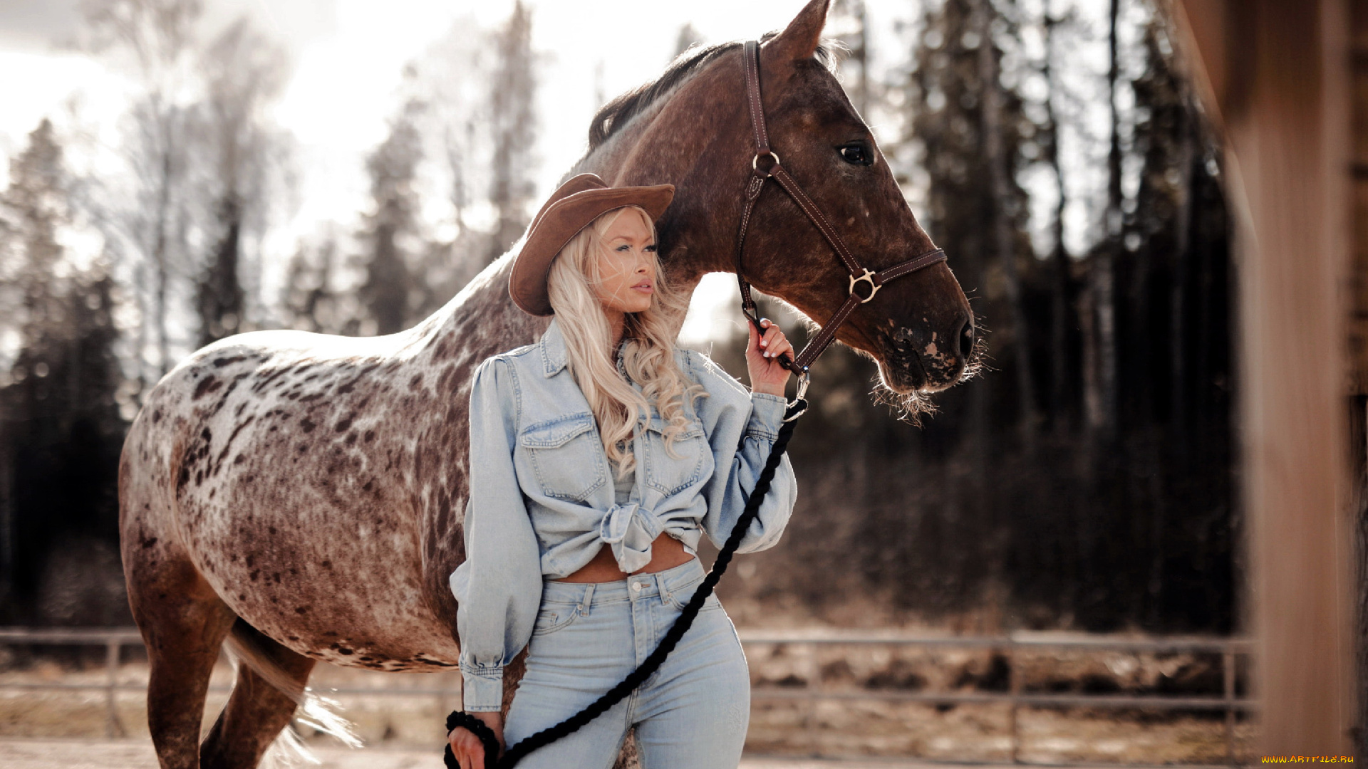 девушки, -, блондинки, , светловолосые, блондинка, джинсы, лошадь, шляпа