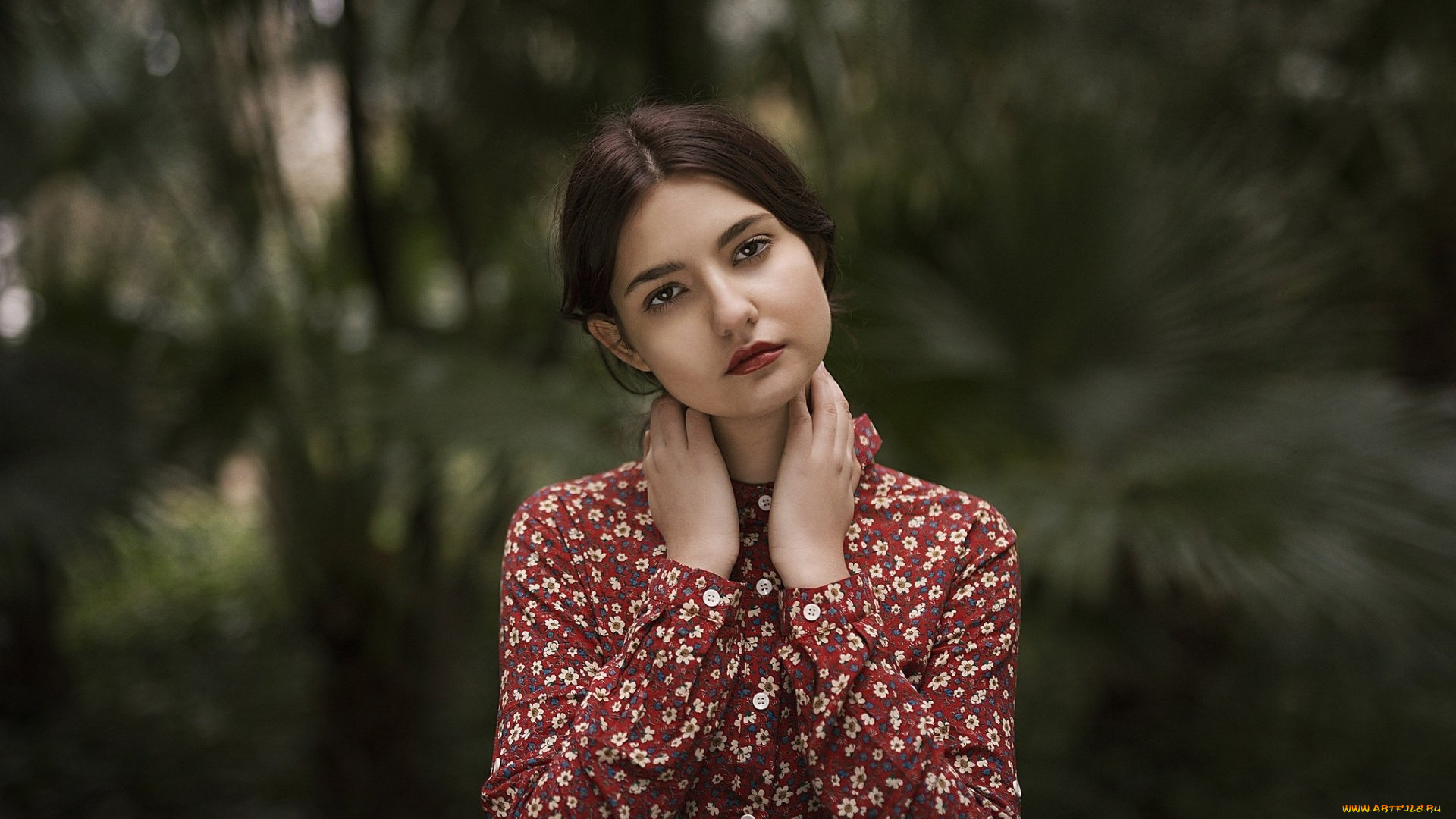 девушки, -, лица, , портреты, брюнетка, взгляд