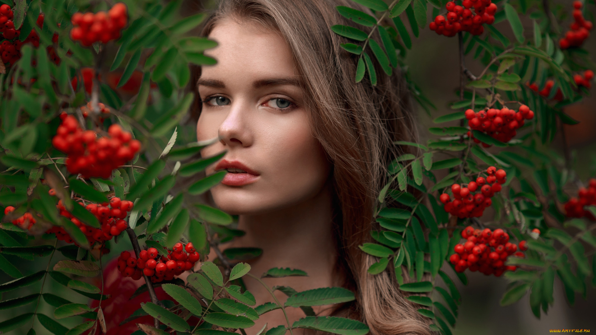 девушки, -, лица, , портреты, шатенка, рябина, irina, bupati