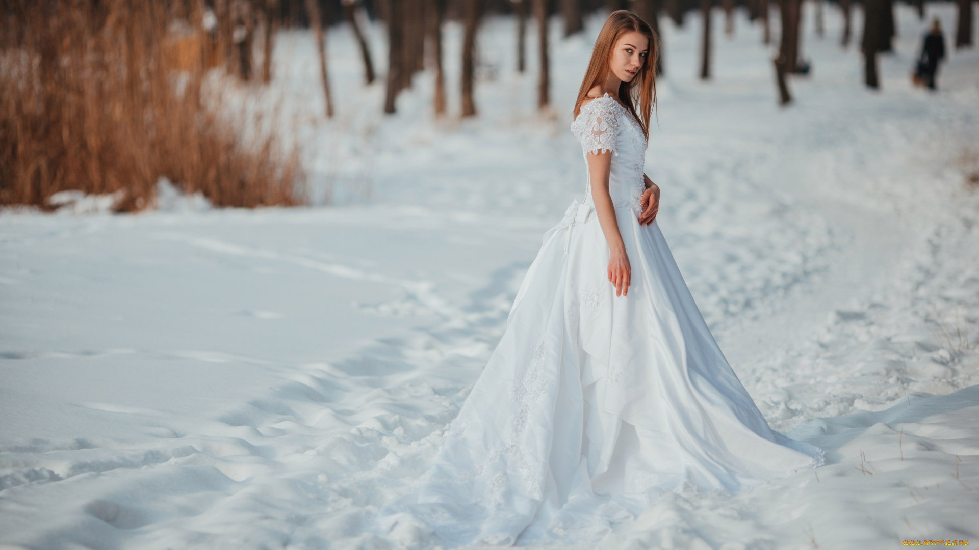 девушки, -, невесты, зима, невеста, снег