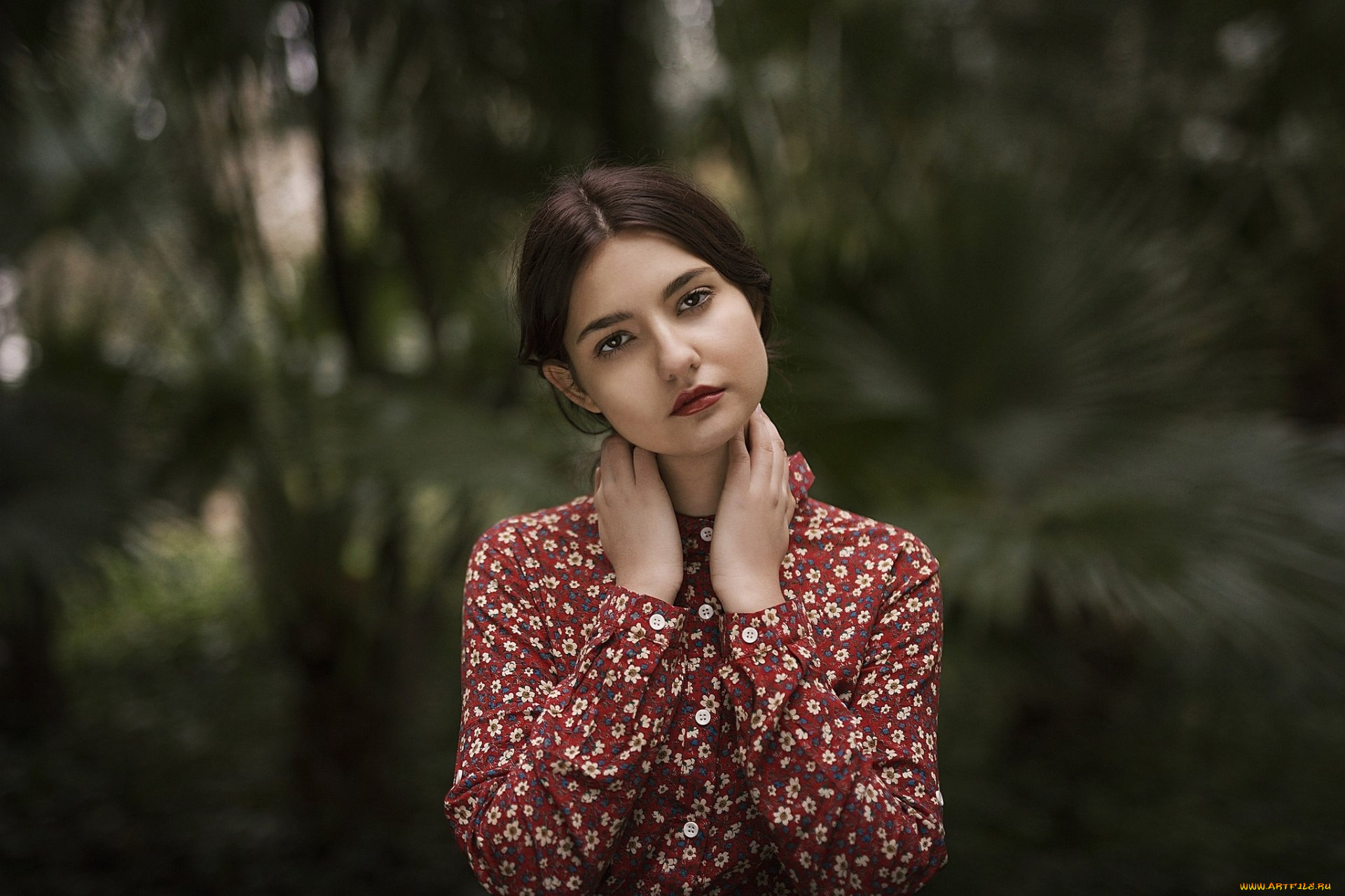 девушки, -, лица, , портреты, брюнетка, взгляд