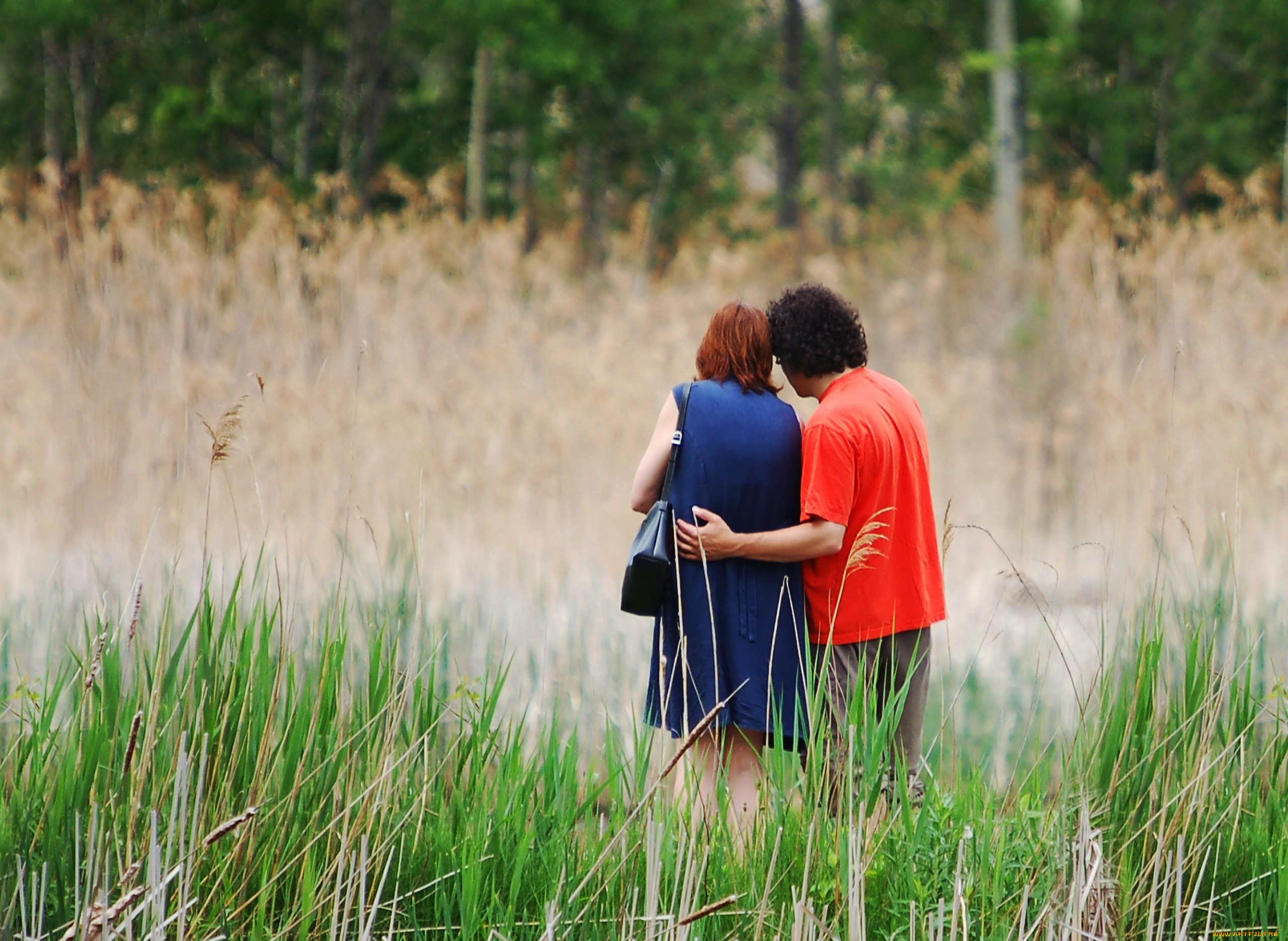 разное, мужчина, женщина, пара, трава