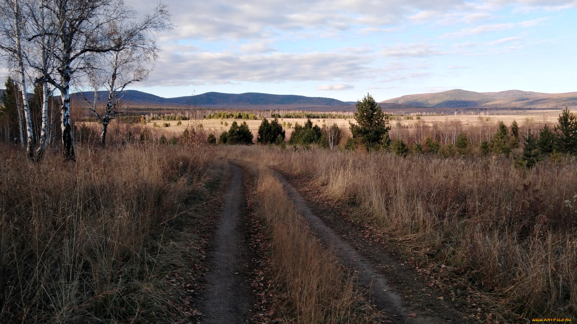 природа, дороги, дорога, колея, луга, деревья, горы