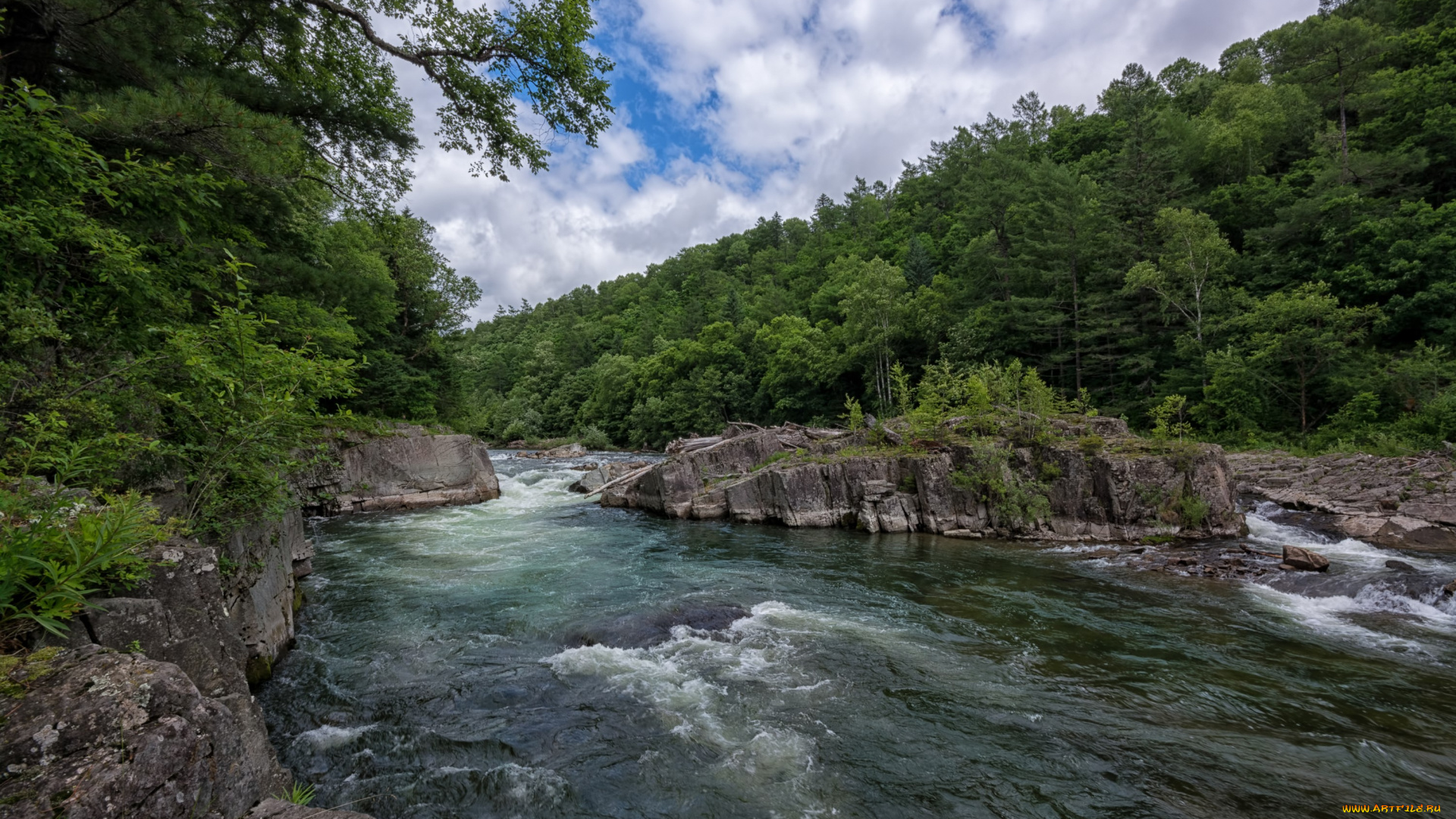 природа, реки, озера, тайга, приморский, край, россия, река