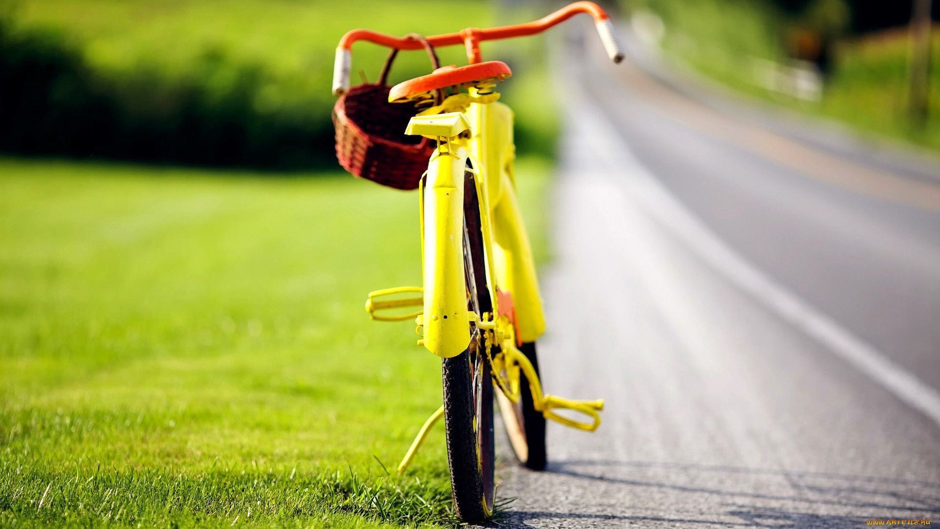 техника, велосипеды, велосипед, корзина, дорога