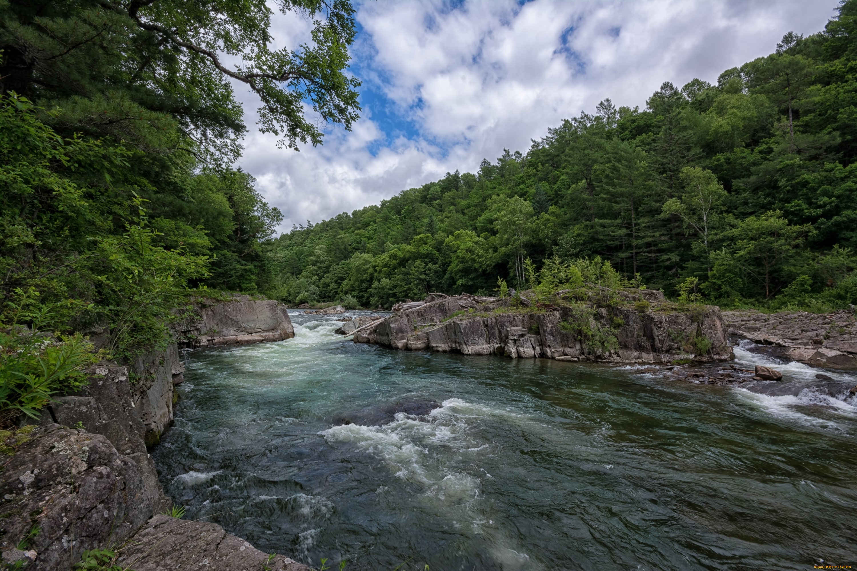 природа, реки, озера, тайга, приморский, край, россия, река