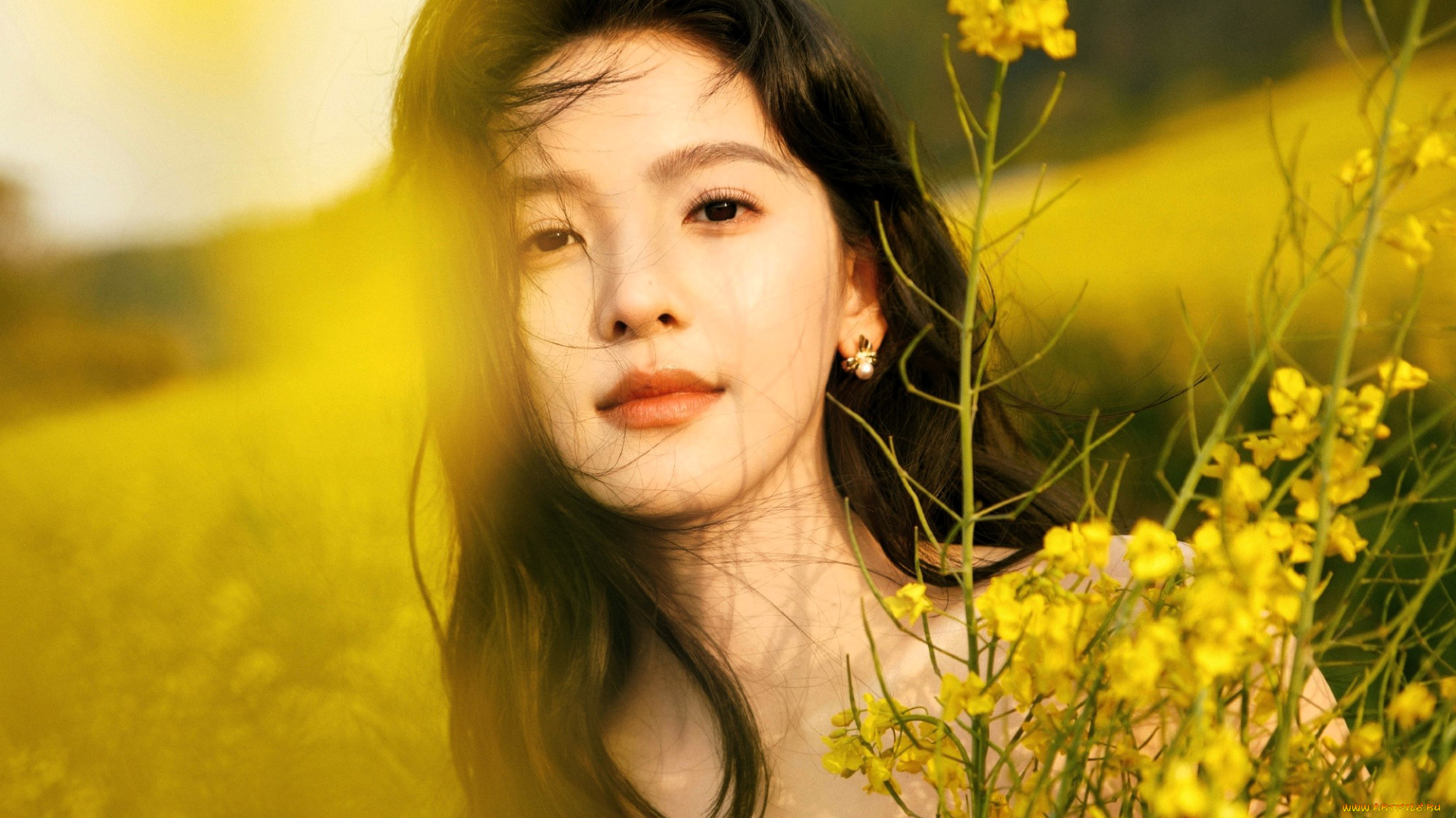 девушки, zhang, ruo, nan, лицо, шатенка, поле, цветы