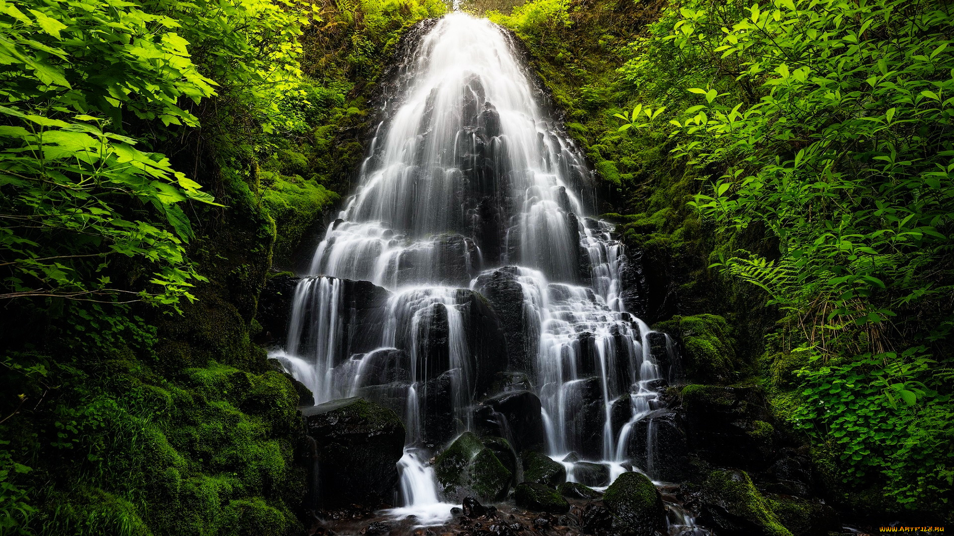 fairy, falls, columbia, river, gorge, oregon, природа, водопады, fairy, falls, columbia, river, gorge