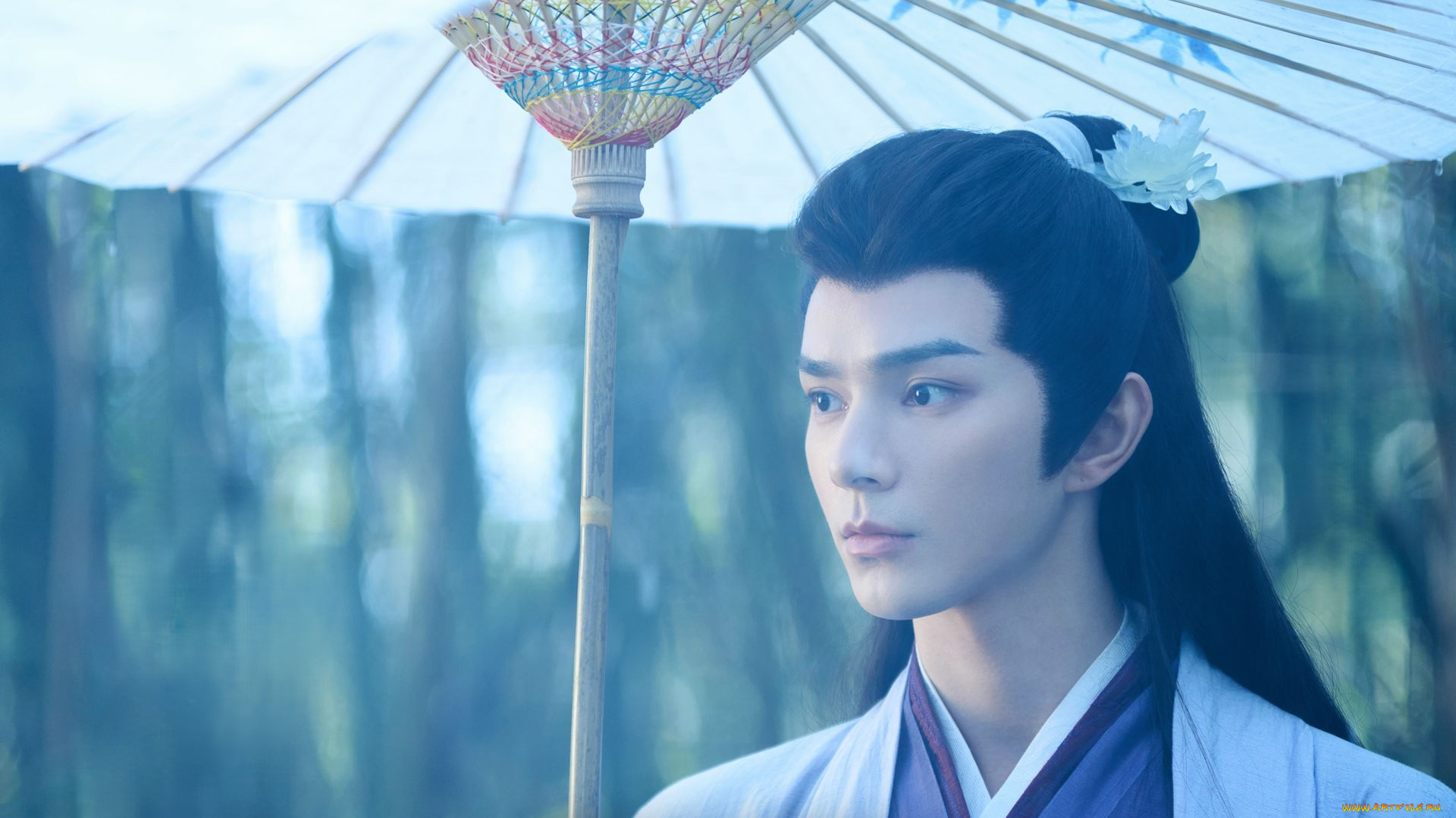 кино, фильмы, love, of, petals, love, of, petals