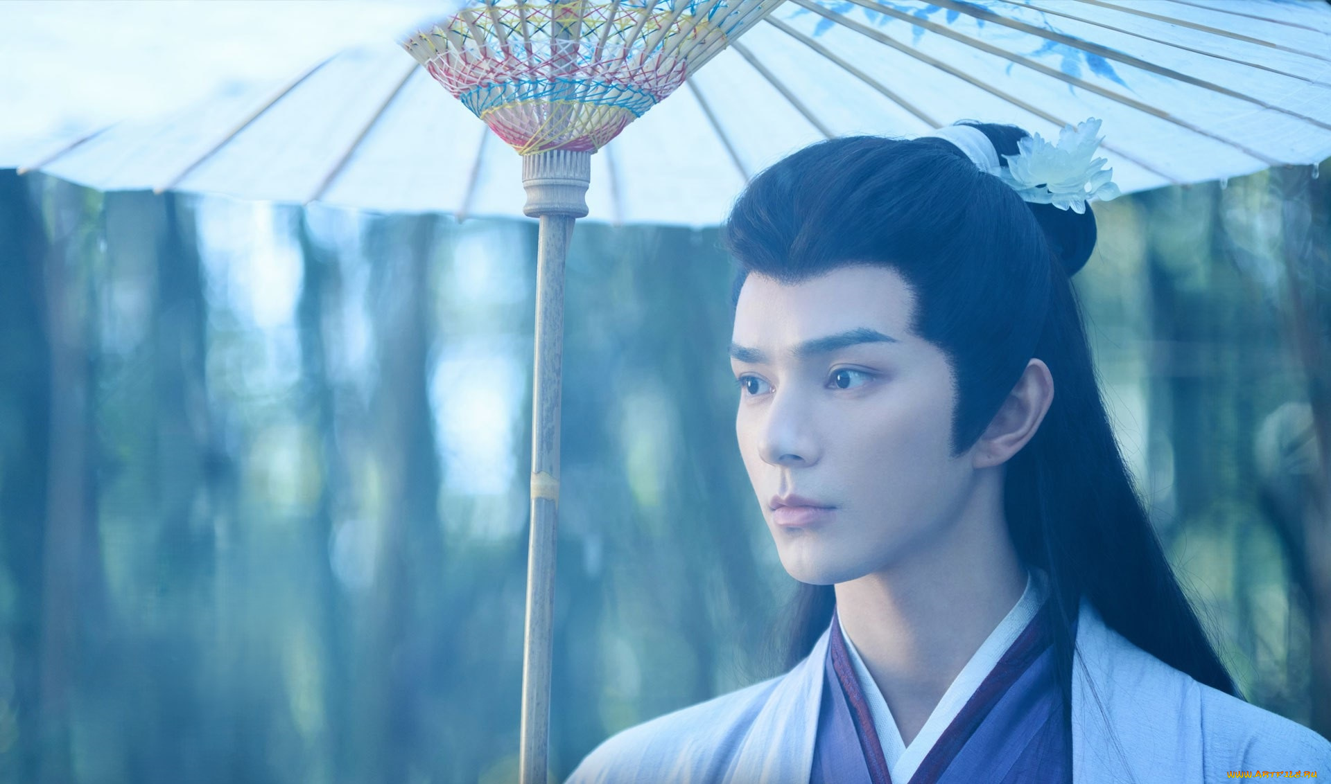 кино, фильмы, love, of, petals, love, of, petals