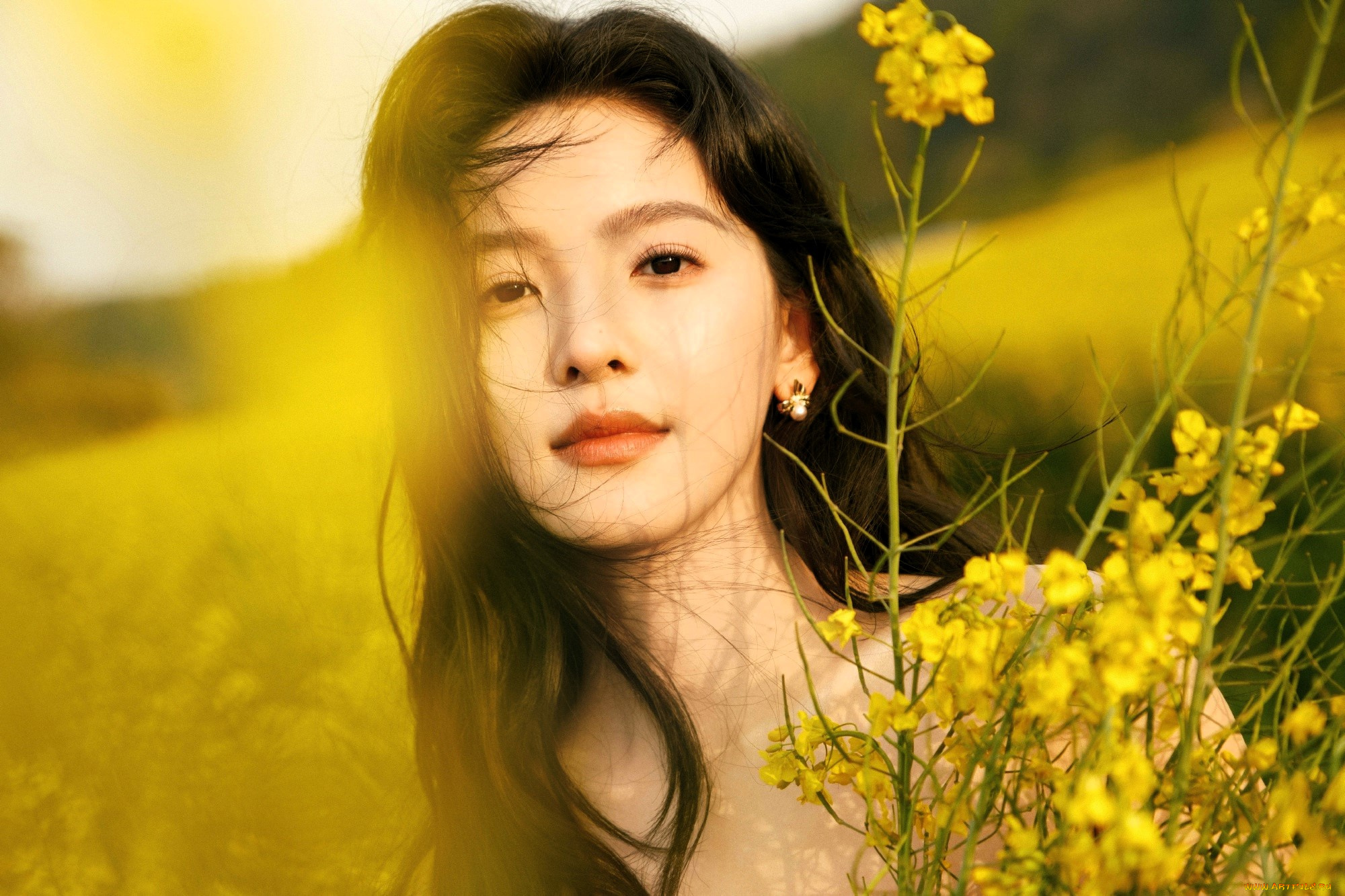 девушки, zhang, ruo, nan, лицо, шатенка, поле, цветы