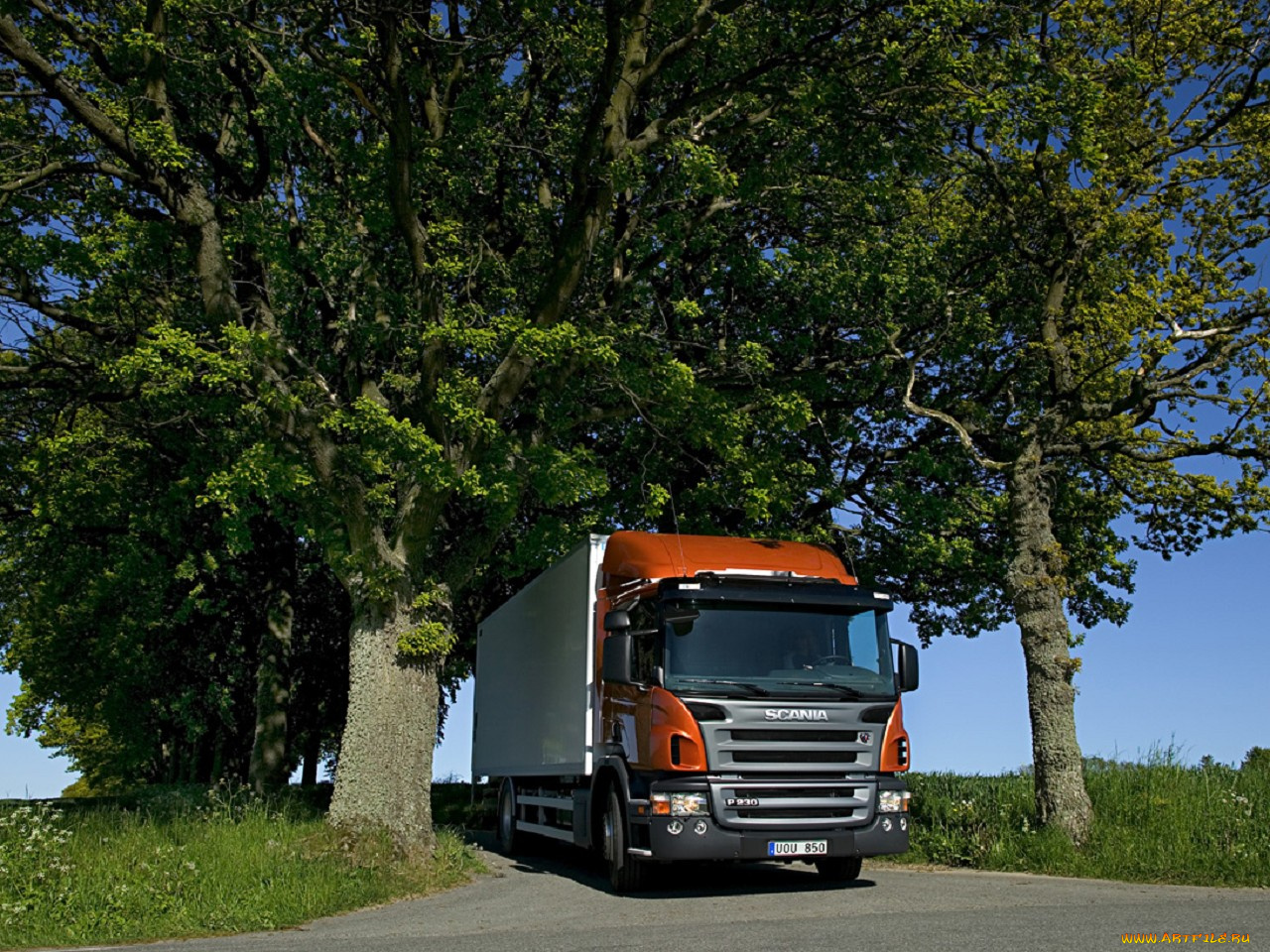 автомобили, scania