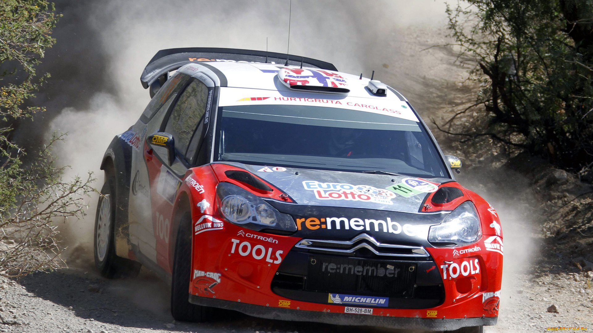 спорт, авторалли