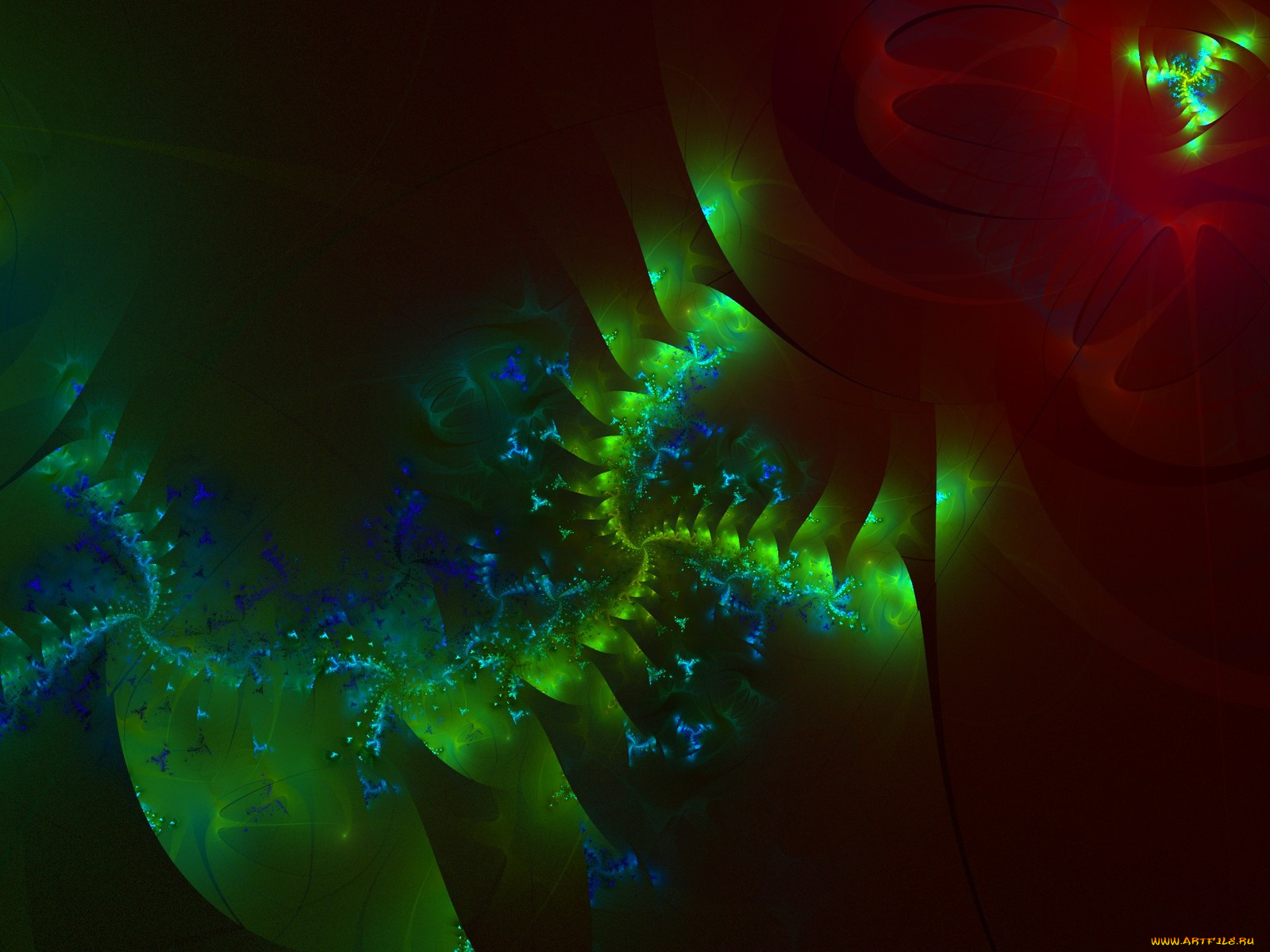 3д, графика, fractal, фракталы, цвета, фон, узор