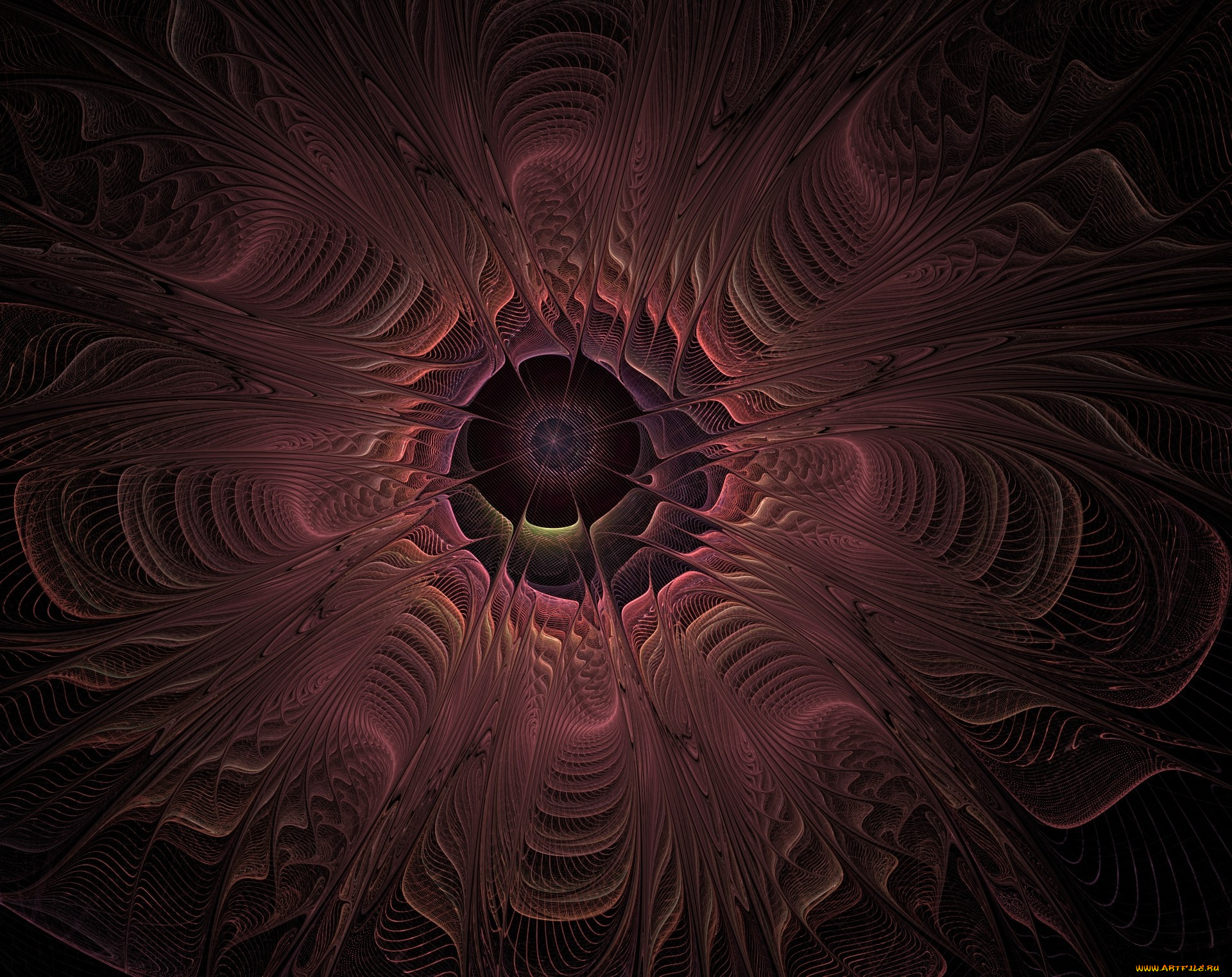 3д, графика, fractal, фракталы, фон, цвета, узор