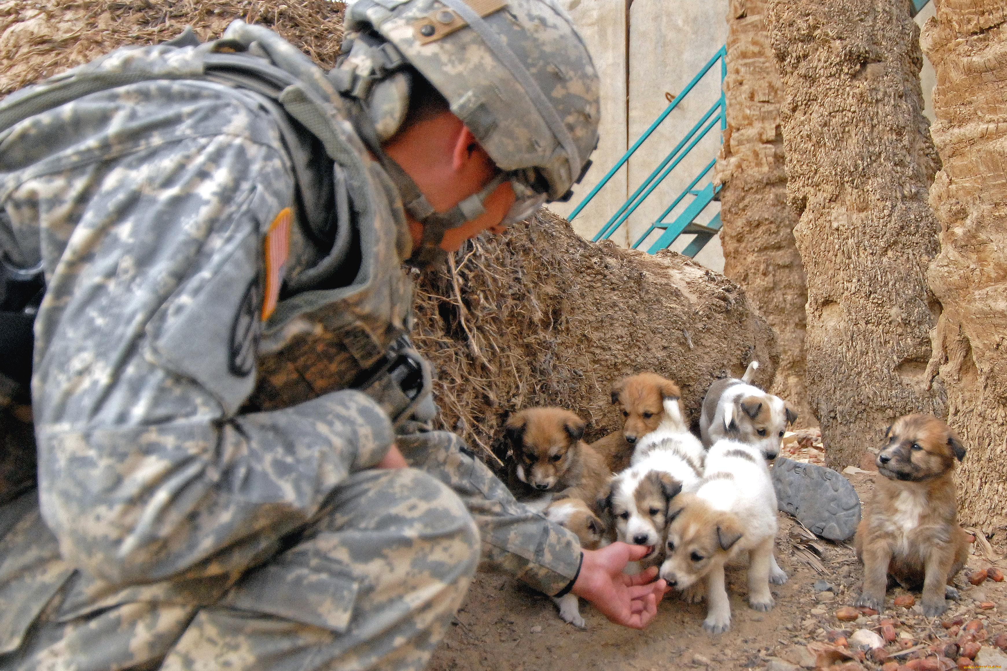 оружие, армия, спецназ, military, army