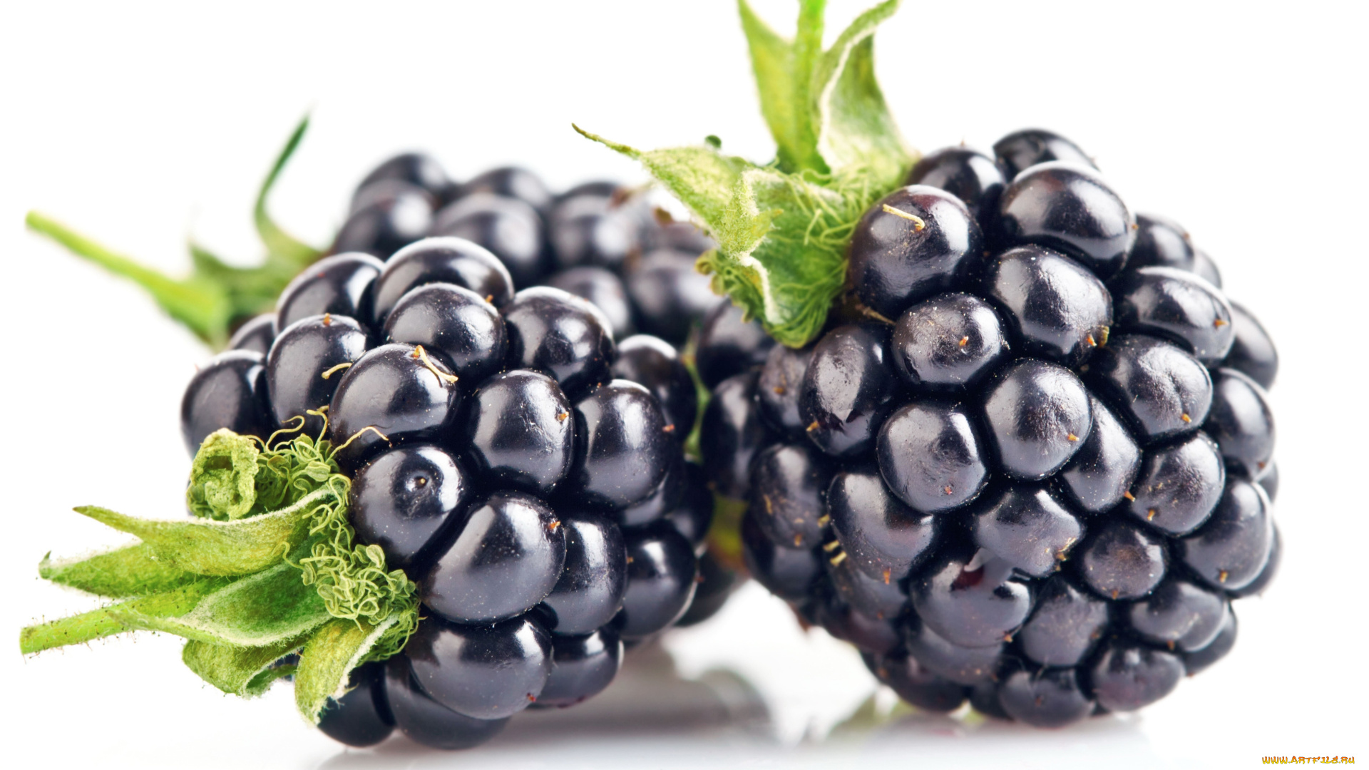 еда, ежевика, ягоды, витамины