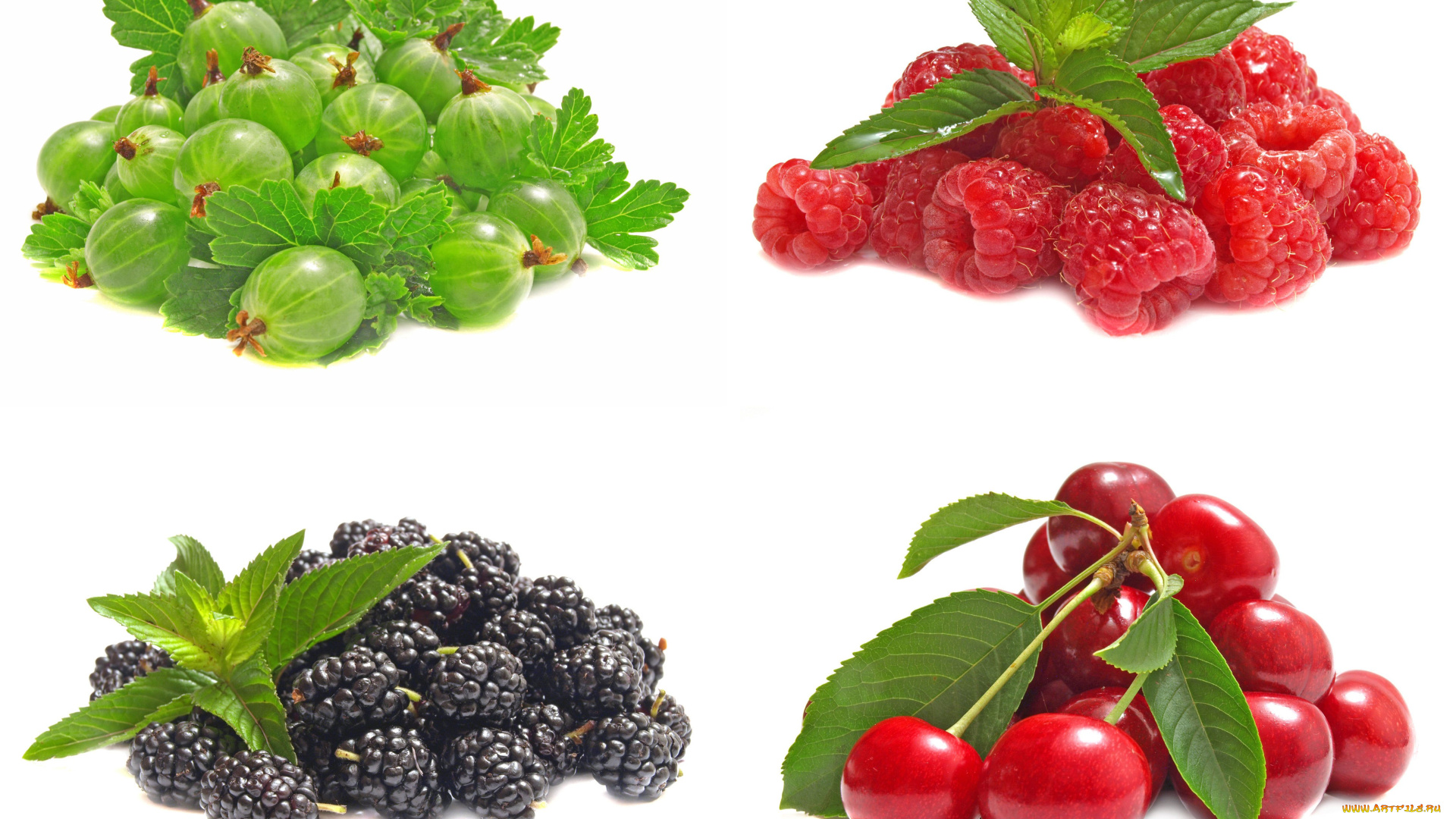 еда, фрукты, ягоды, коллаж