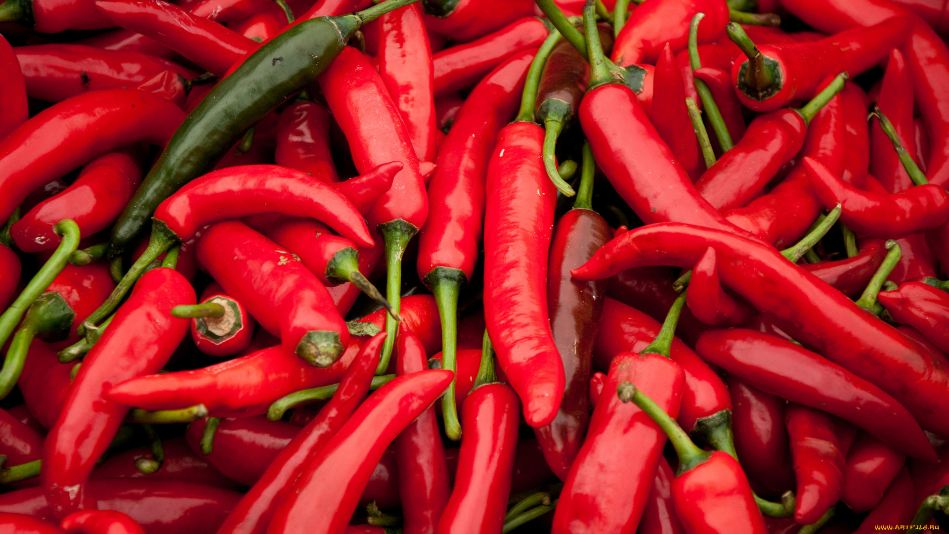 еда, перец, красный, жгучий, чили