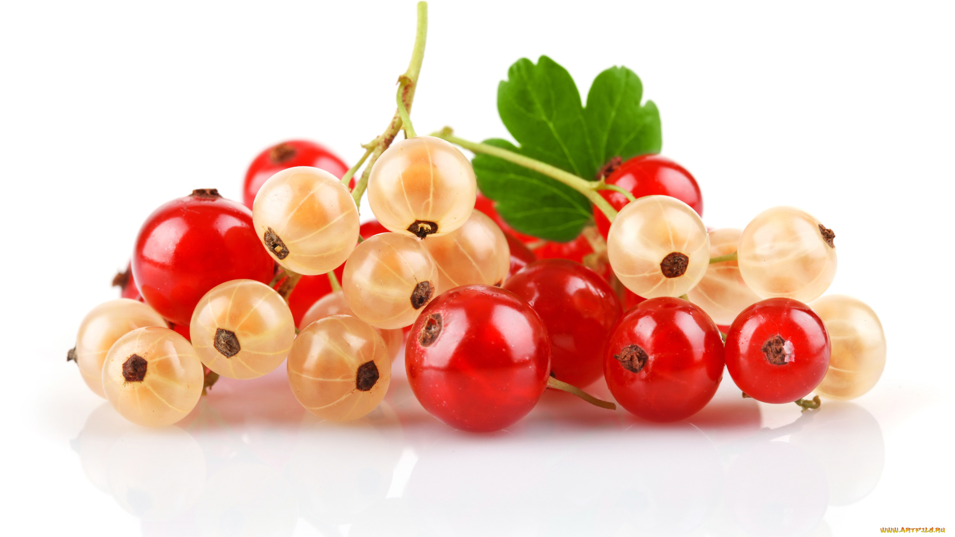 еда, смородина, ягоды, витамины