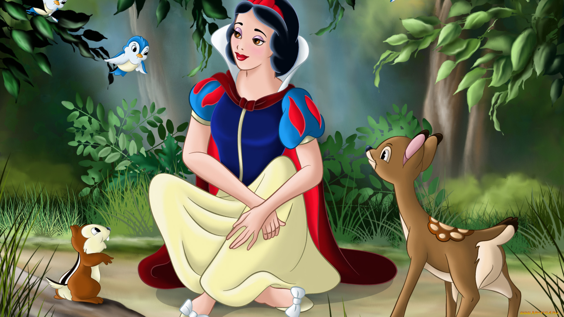 мультфильмы, snow, white, and, the, seven, dwarfs, девушка, птицы, звери