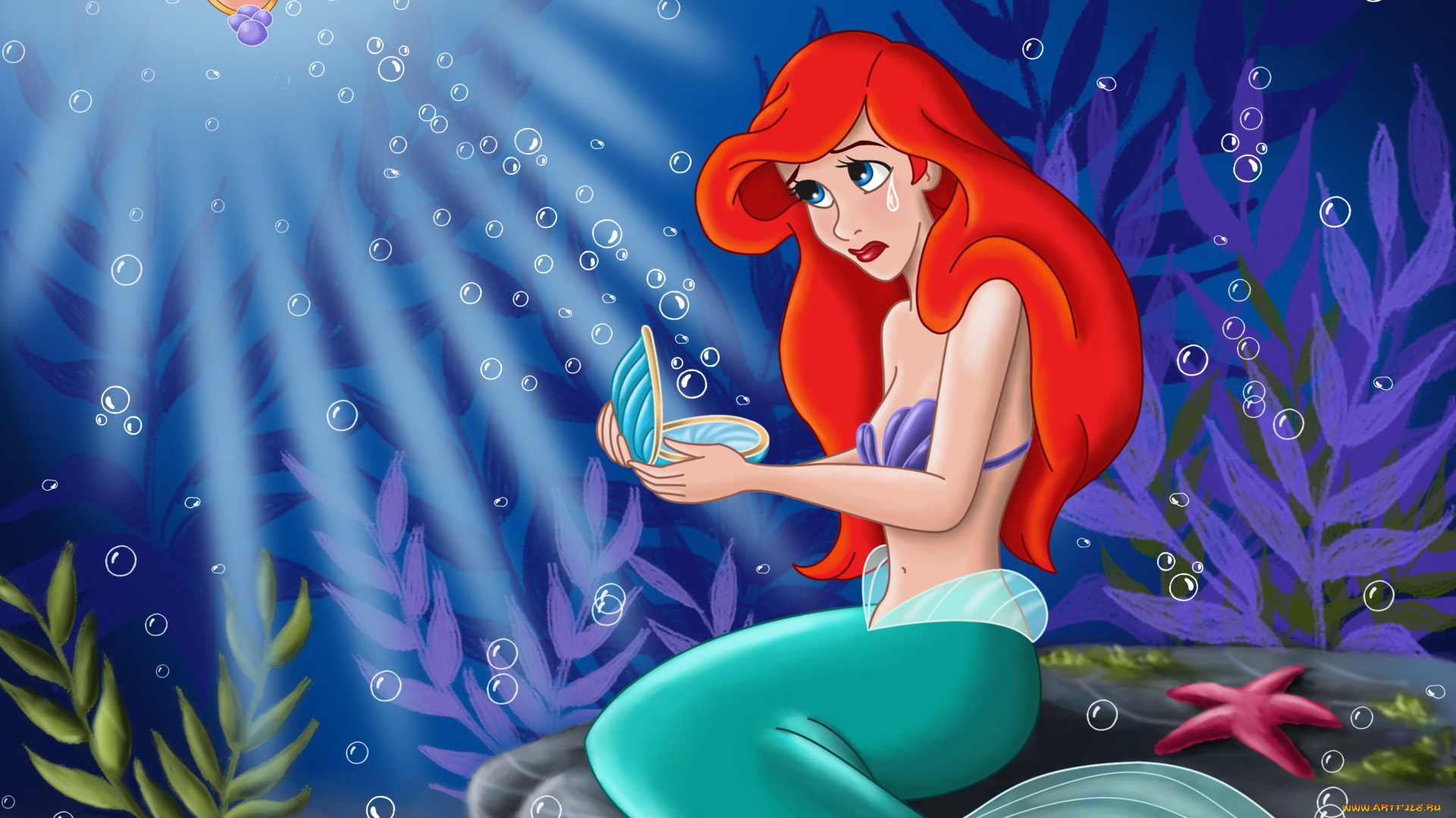 мультфильмы, the, little, mermaid, ракушка, русалка