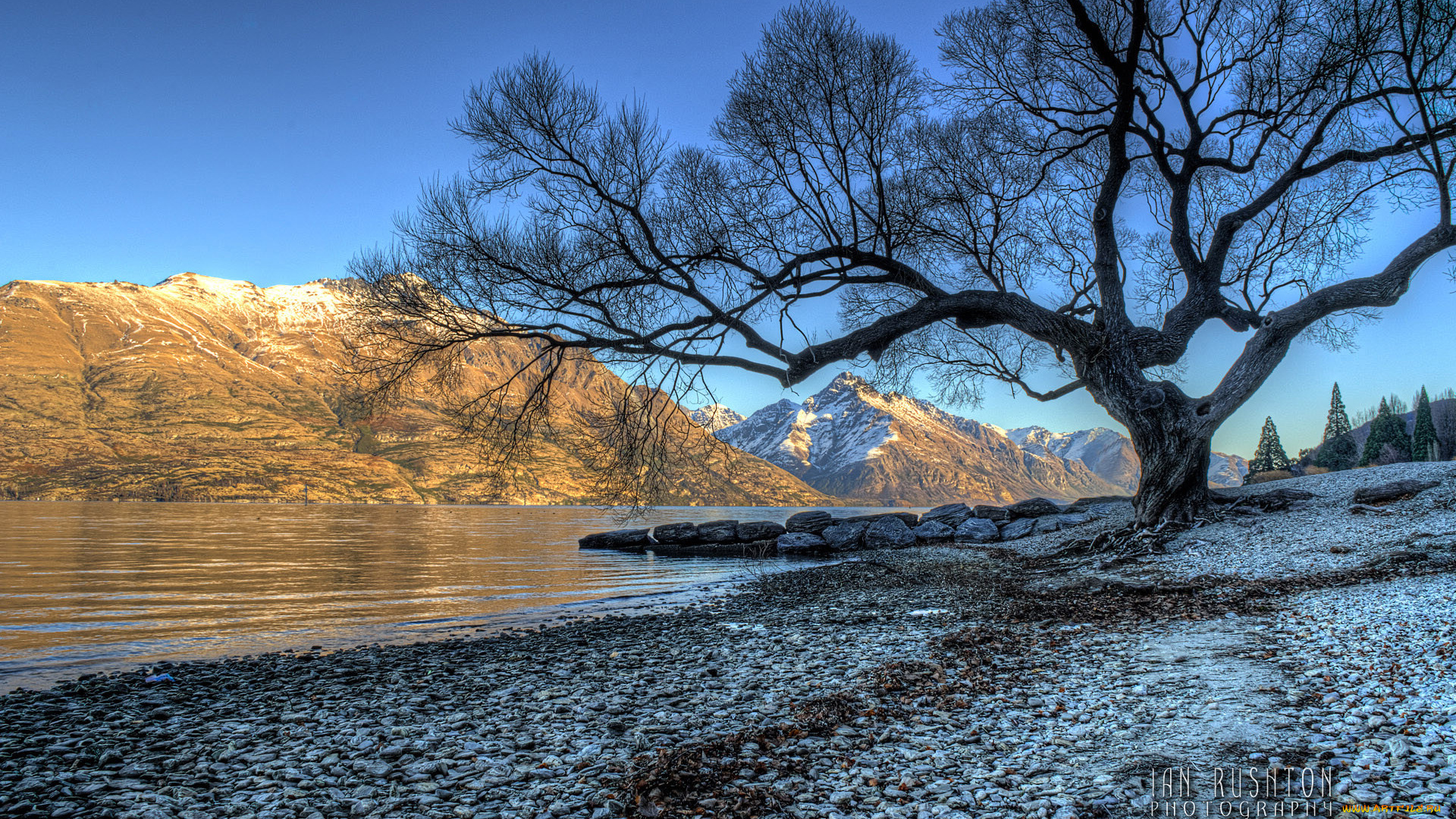 природа, реки, озера, дерево, озеро, горы