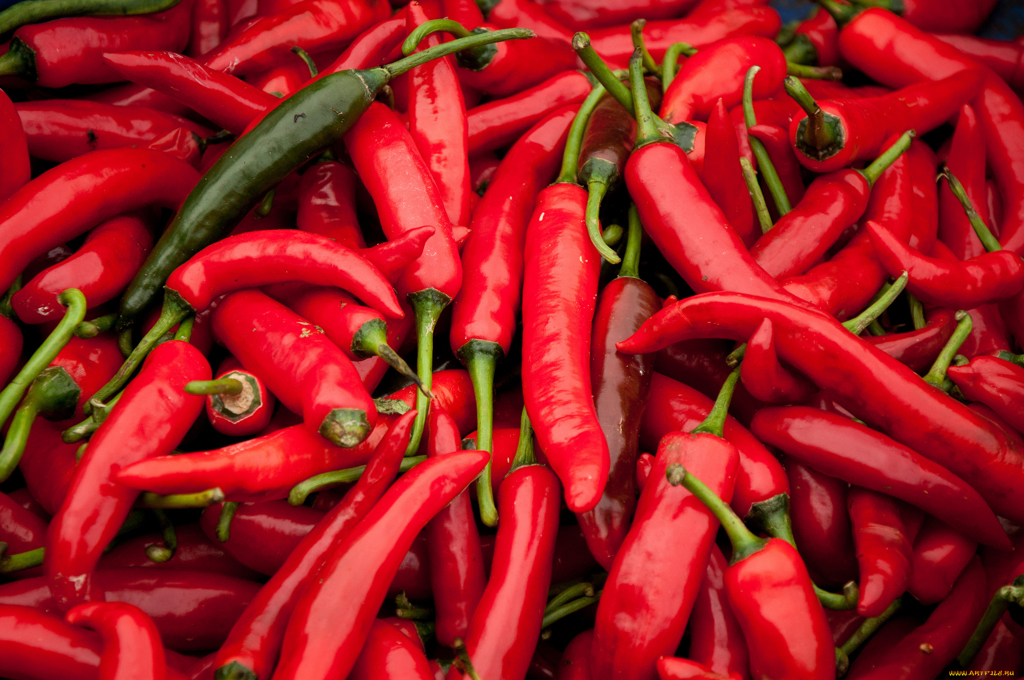 еда, перец, красный, жгучий, чили