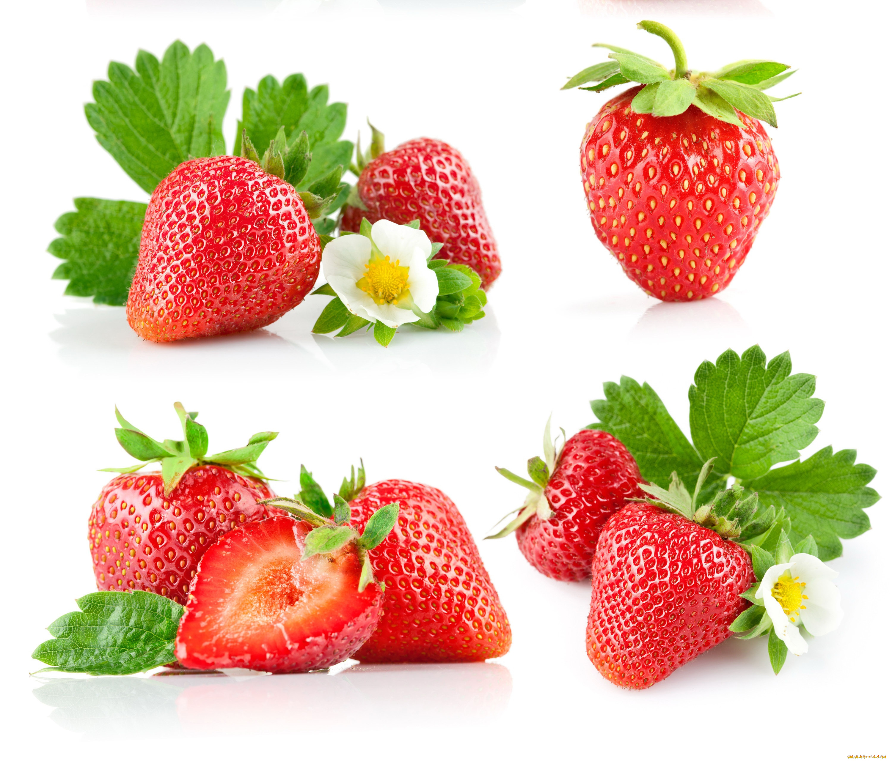 еда, клубника, земляника, коллаж
