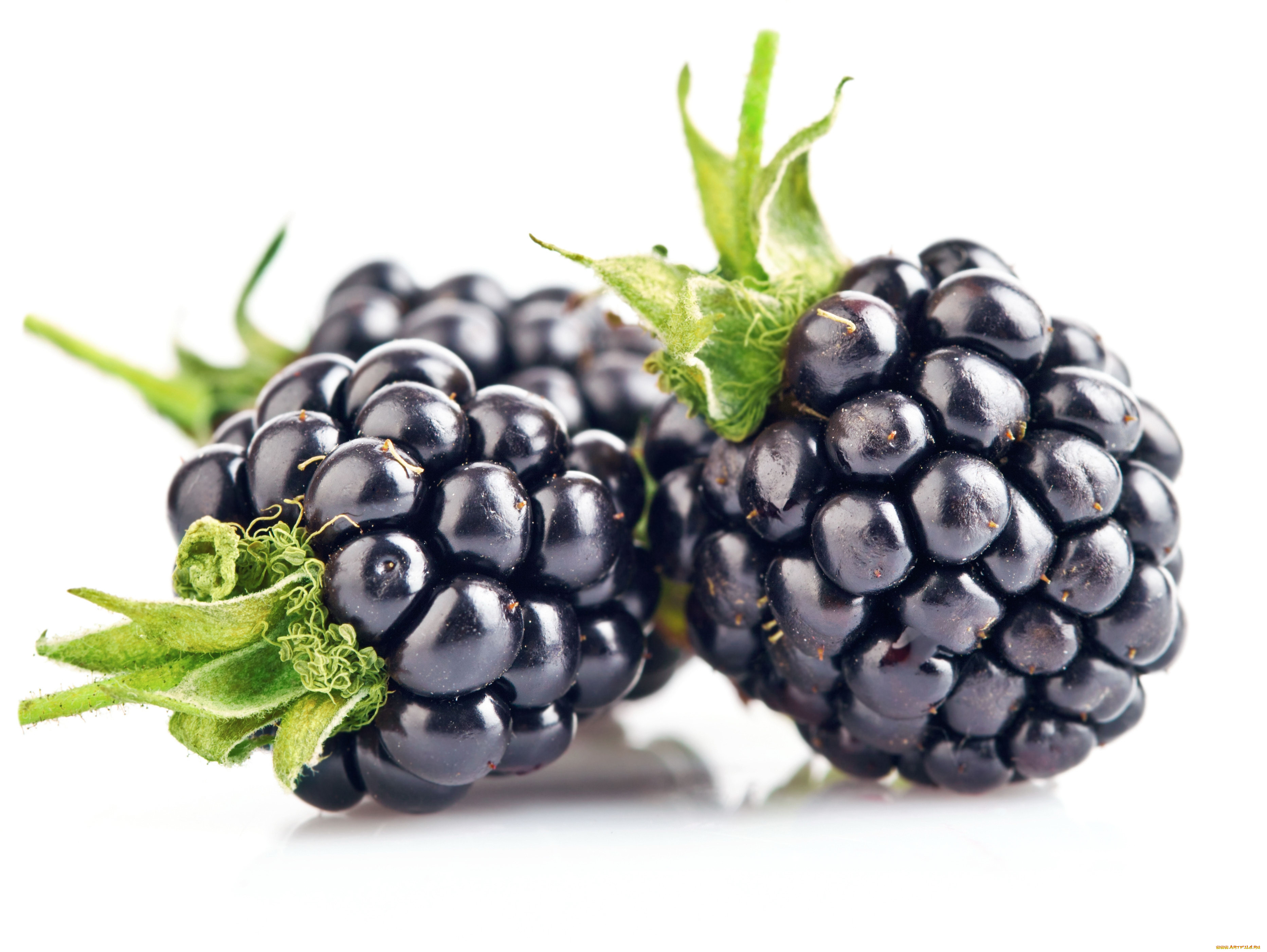 еда, ежевика, ягоды, витамины