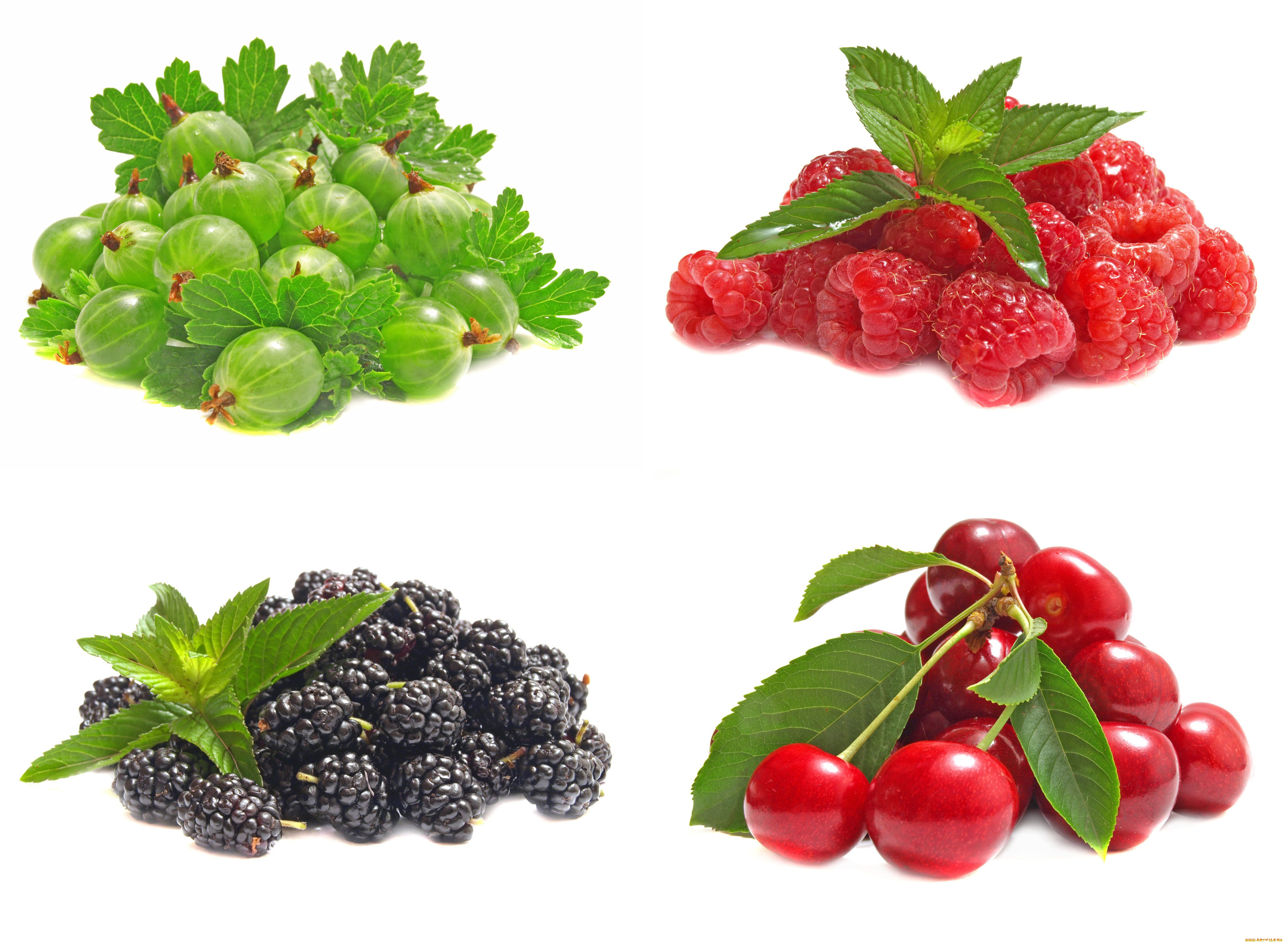еда, фрукты, ягоды, коллаж