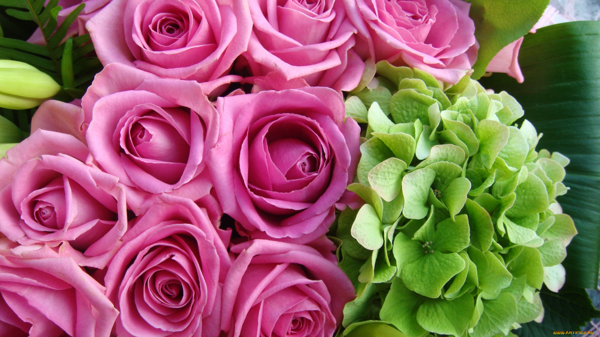 цветы, разные, вместе, гортензия, розы