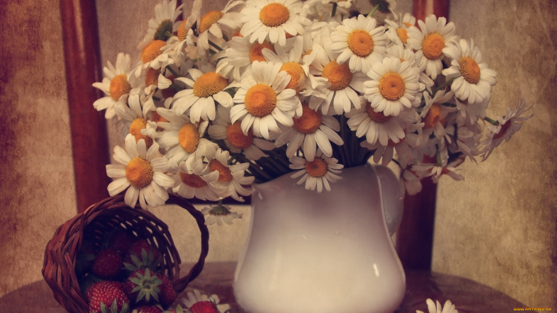 цветы, ромашки, букет