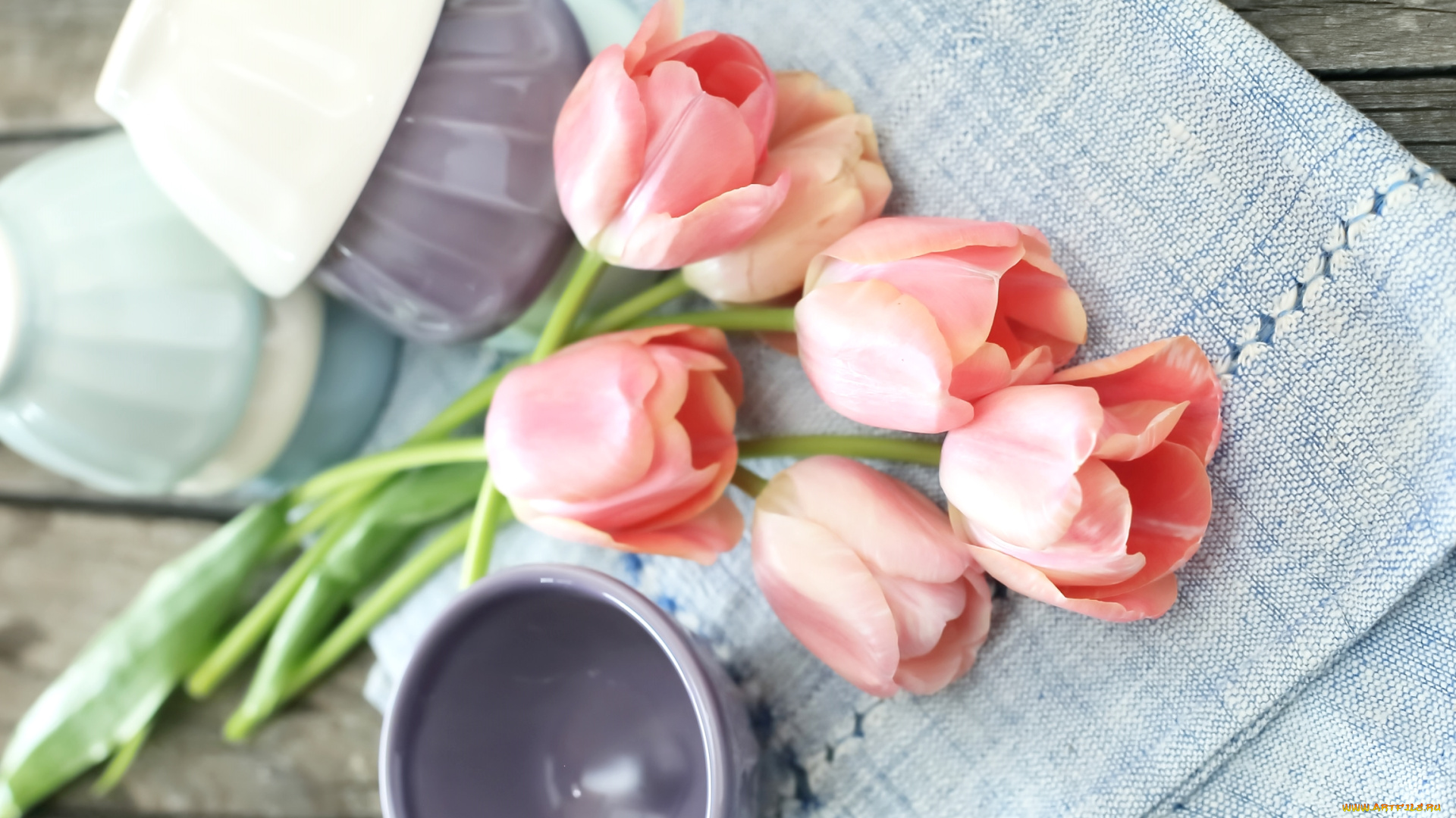 цветы, тюльпаны, розовый