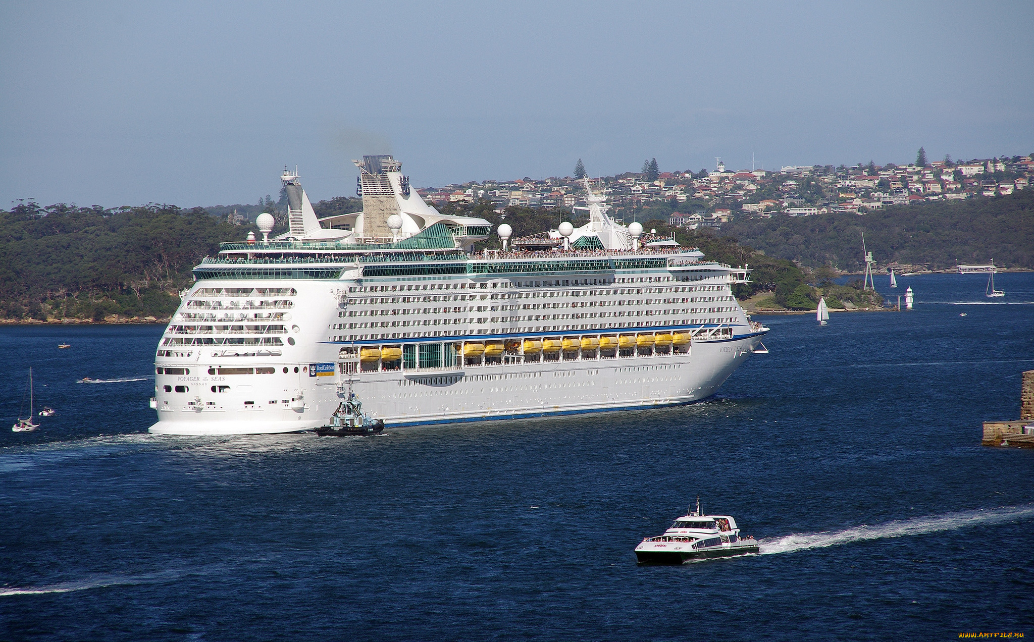 корабли, разные, вместе, круиз
