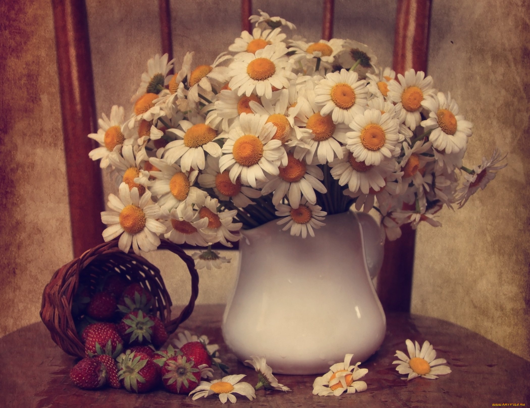 цветы, ромашки, букет