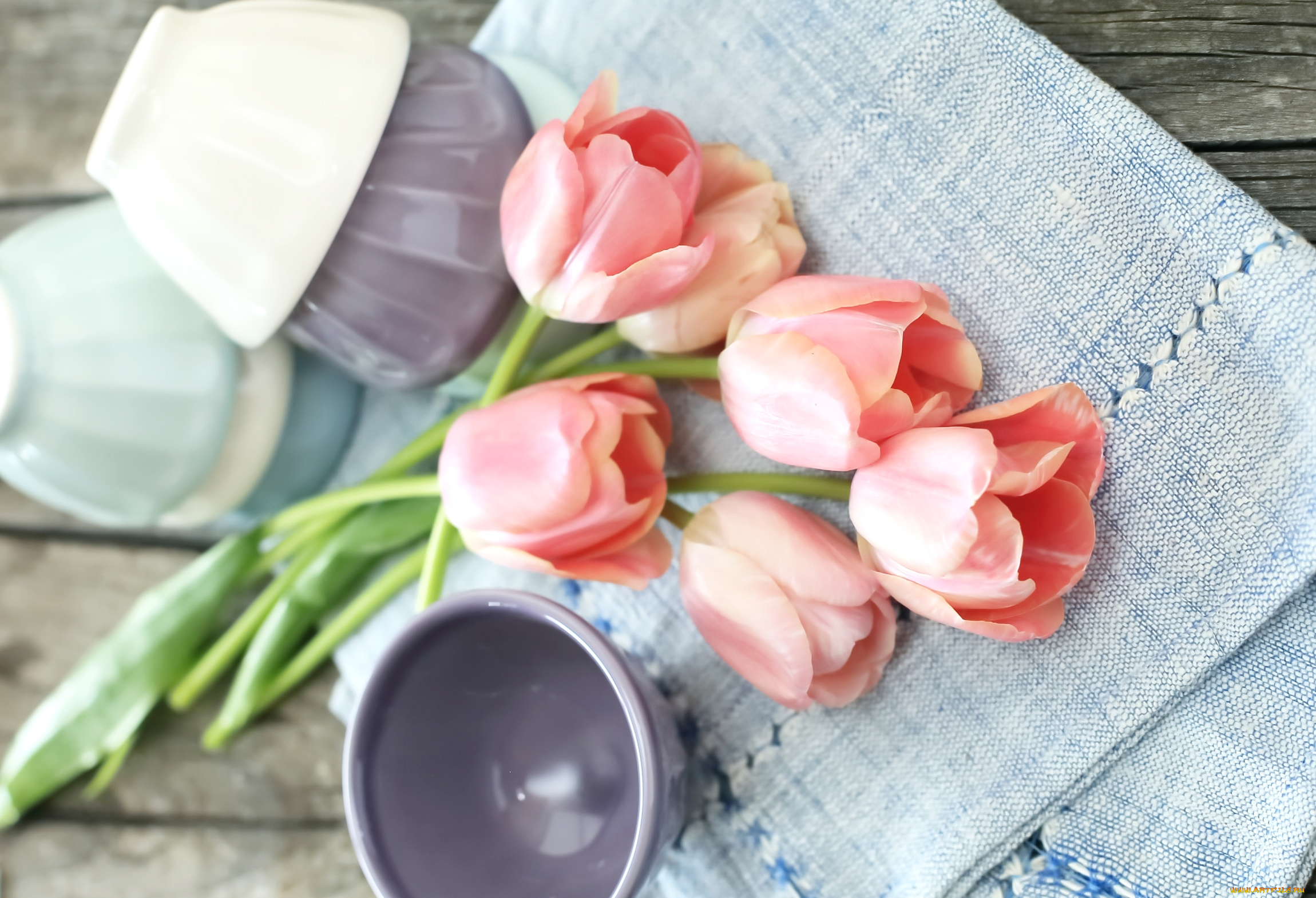 цветы, тюльпаны, розовый